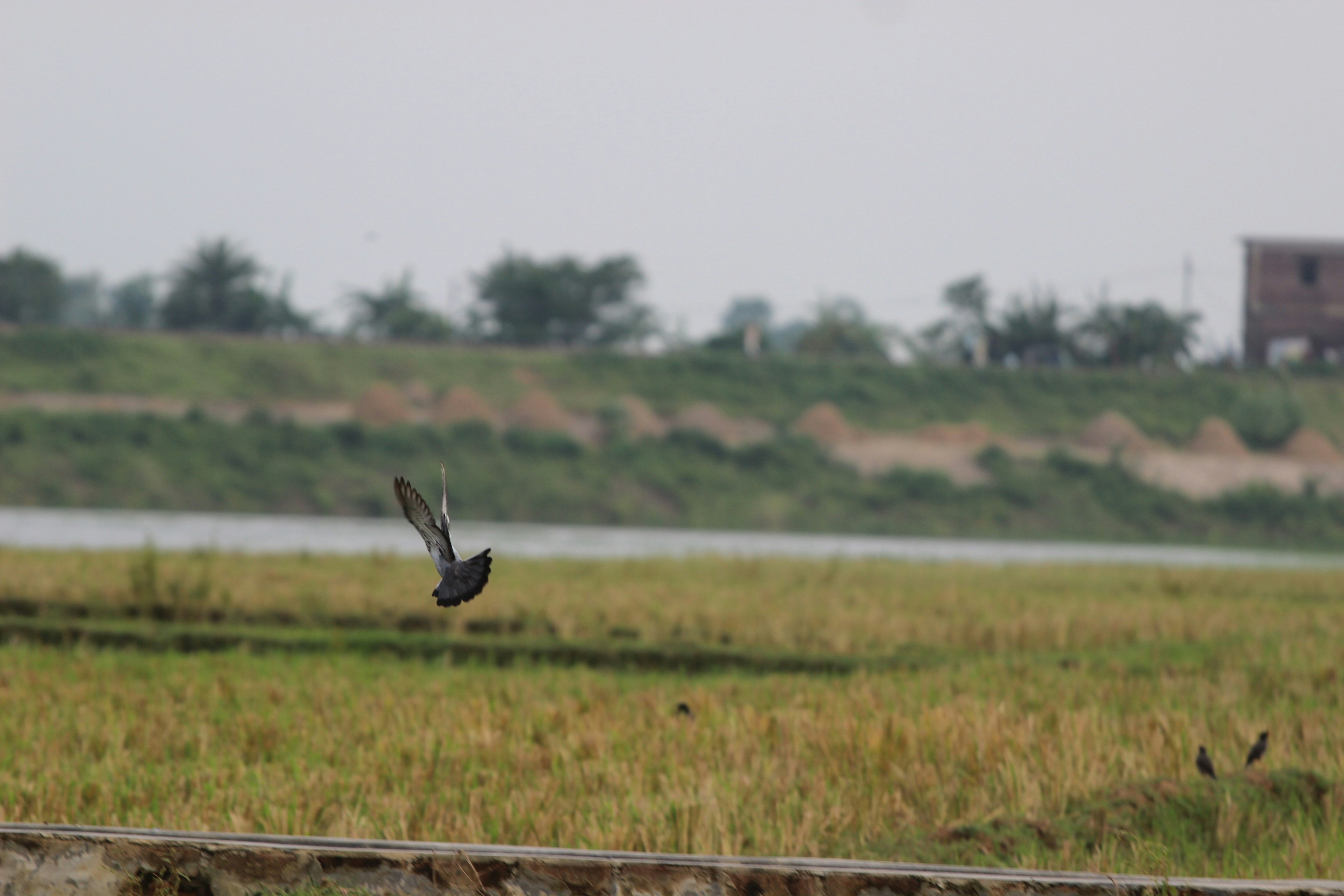 Photo by creativepoka