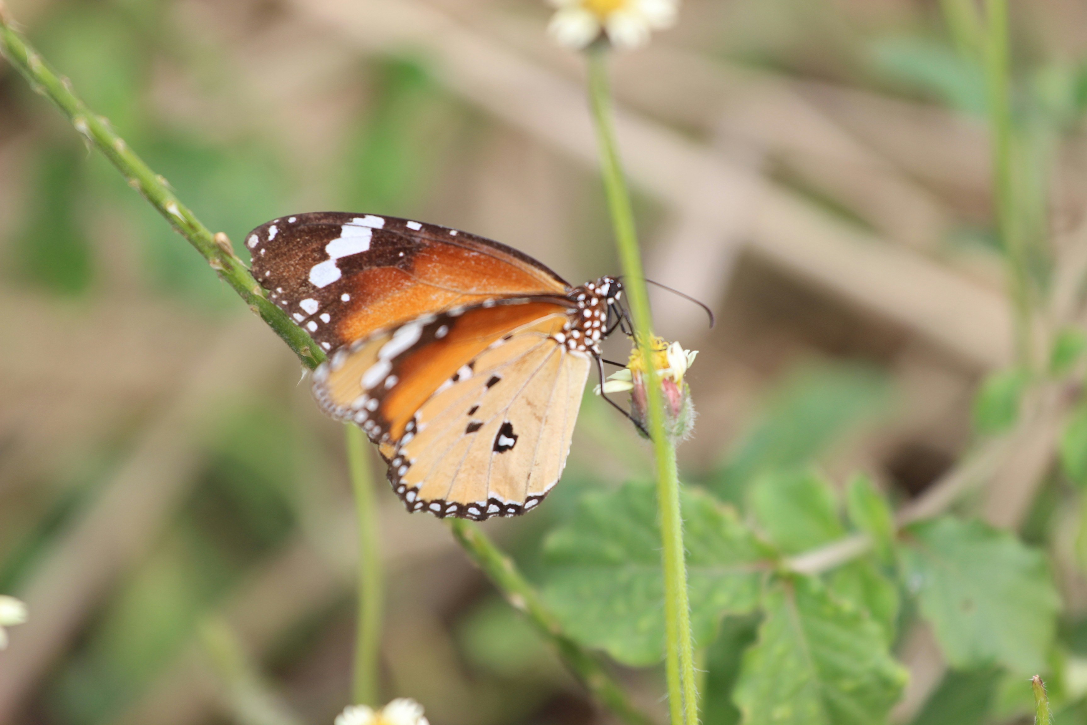 Photo by creativepoka