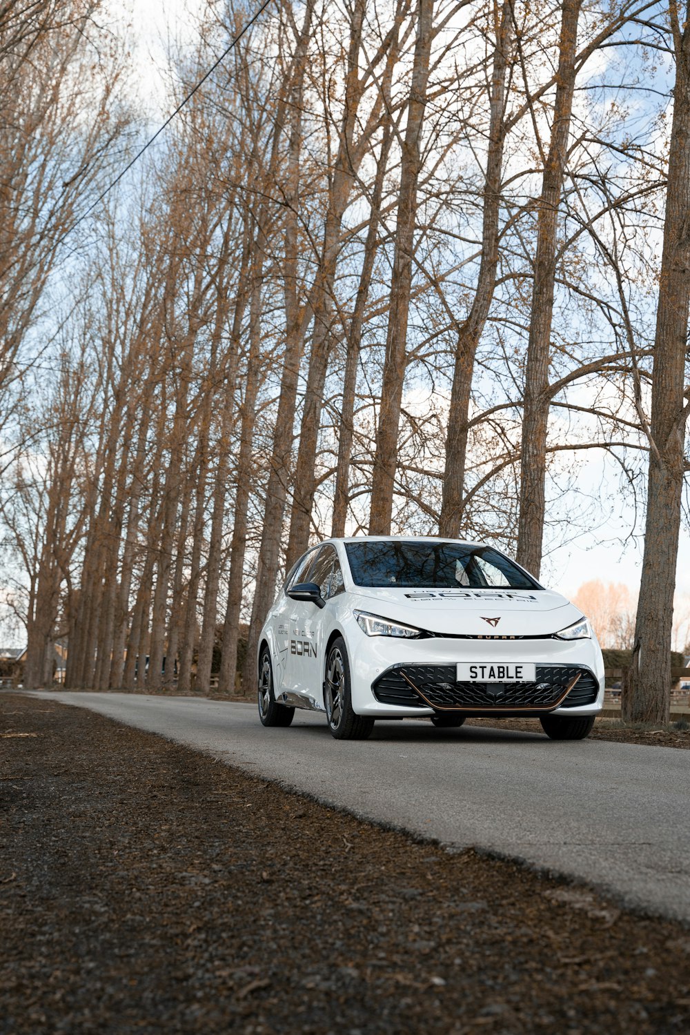 a white car parked on a road with trees on either side