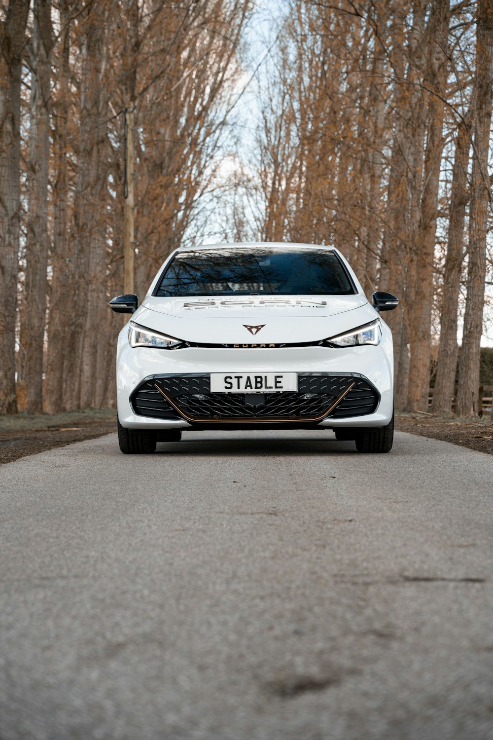 a white car parked in a wooded area