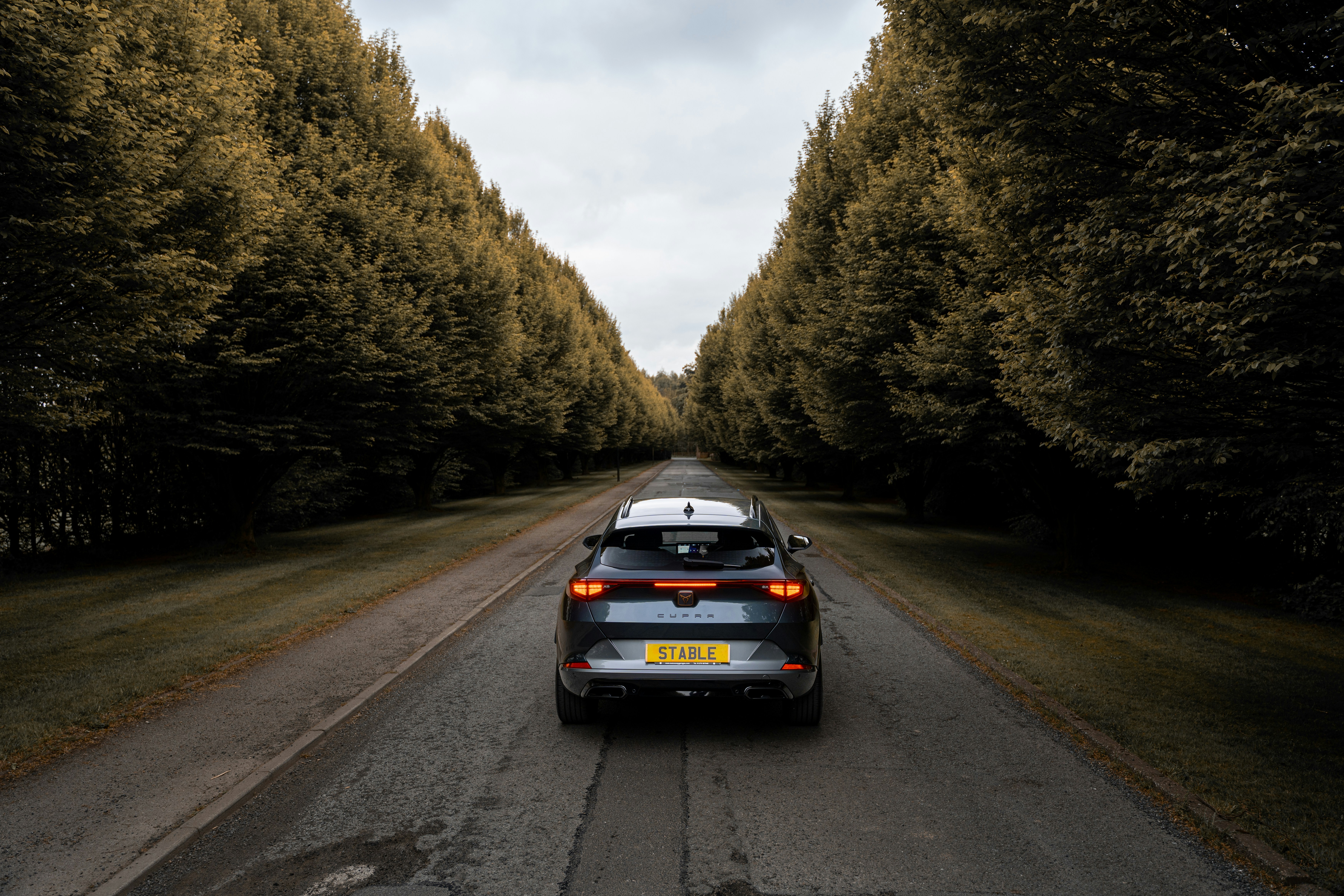 a car on a road with trees on either side of it