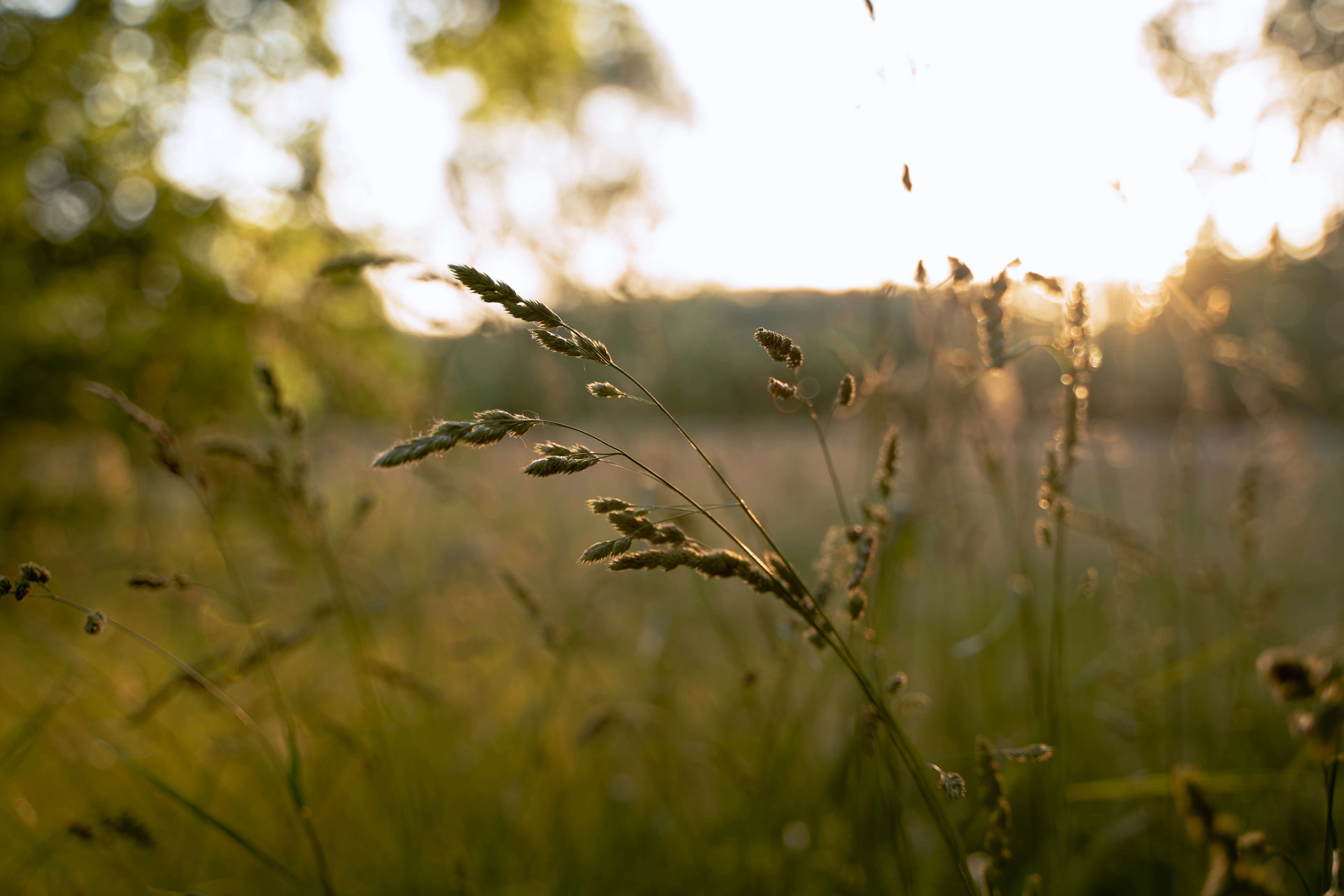 Photo by jensdedecker