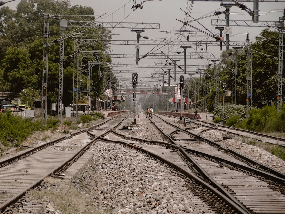 Binari ferroviari con alberi e linee elettriche