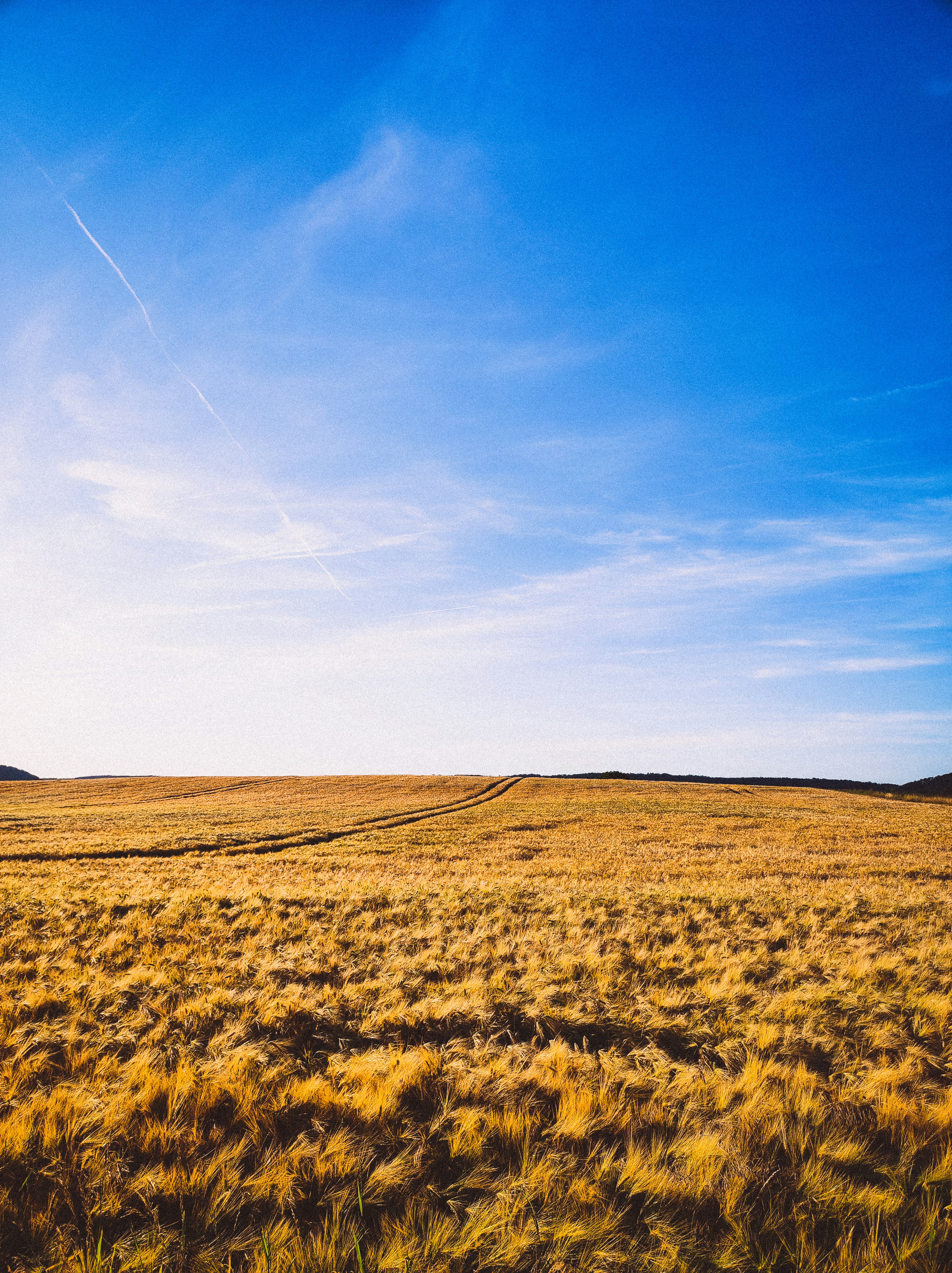 Photo by sindy_suessengut