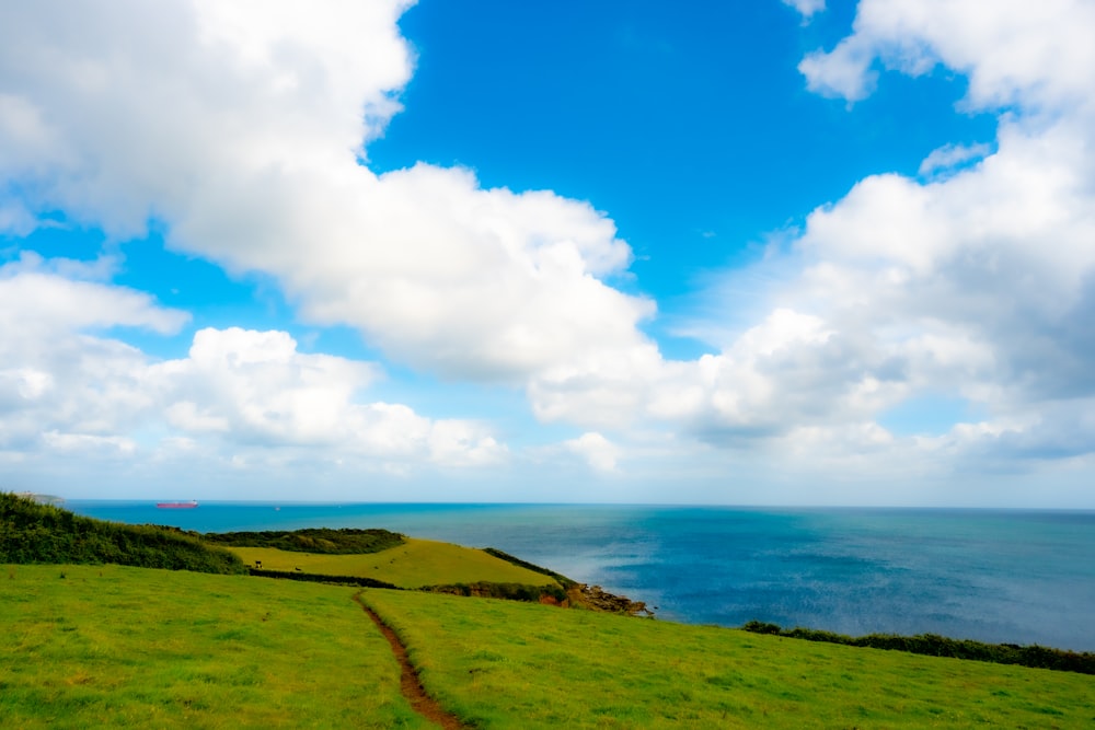 a grassy area with a body of water in the background