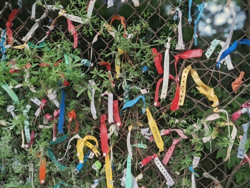 Un mucchio di oggetti colorati in una zona erbosa