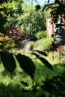 A serene garden corner with rainwater collection barrels and thriving native plants.