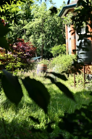 A serene off-grid garden setup with rainwater collection barrels and solar panels in the background.