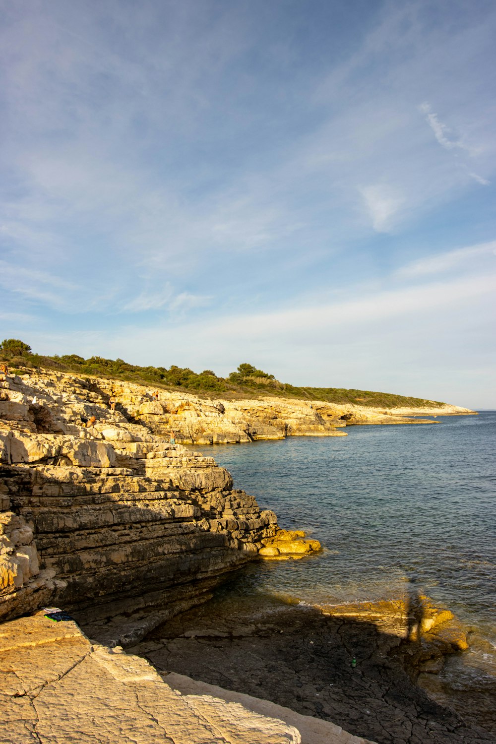 a rocky beach with a body of water and a hill with trees