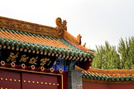 a building with a dragon roof