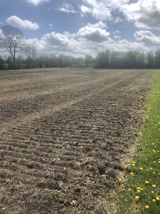 Close-up of a well-marked plot boundary with fresh soil and grass.