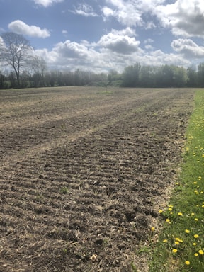 Close-up of fertile soil and boundary markers on a clear plot.