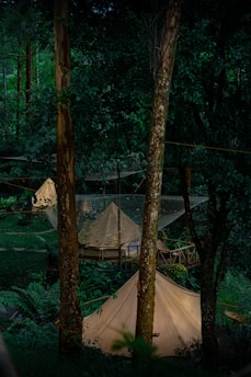a group of tents in a forest