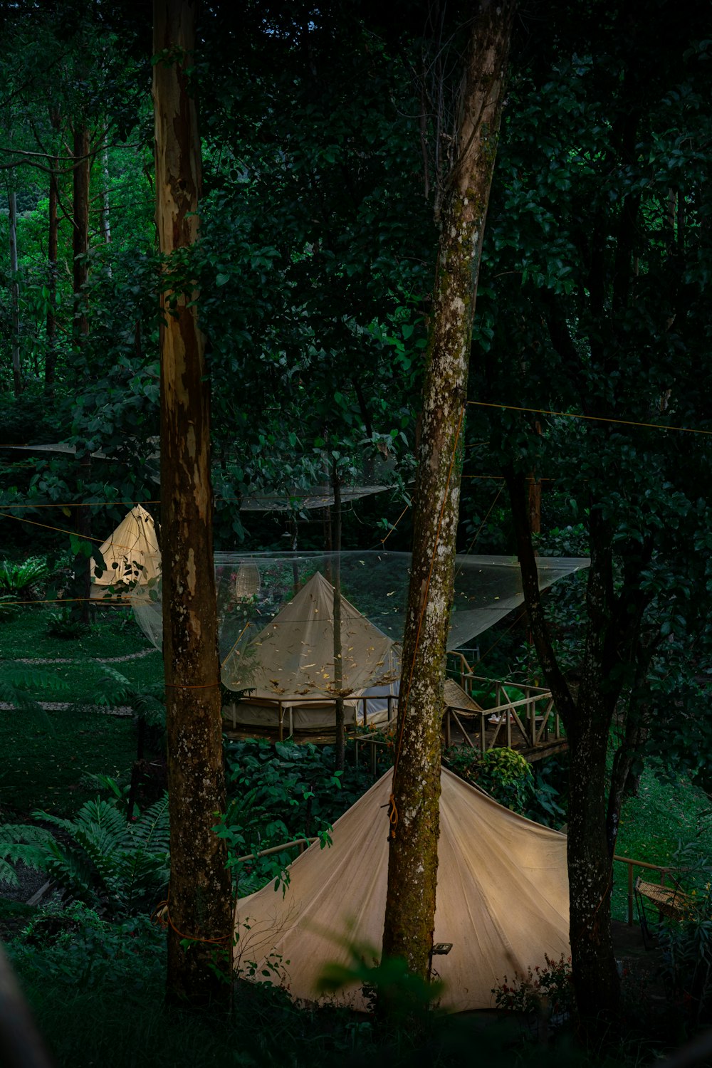 a group of tents in a forest