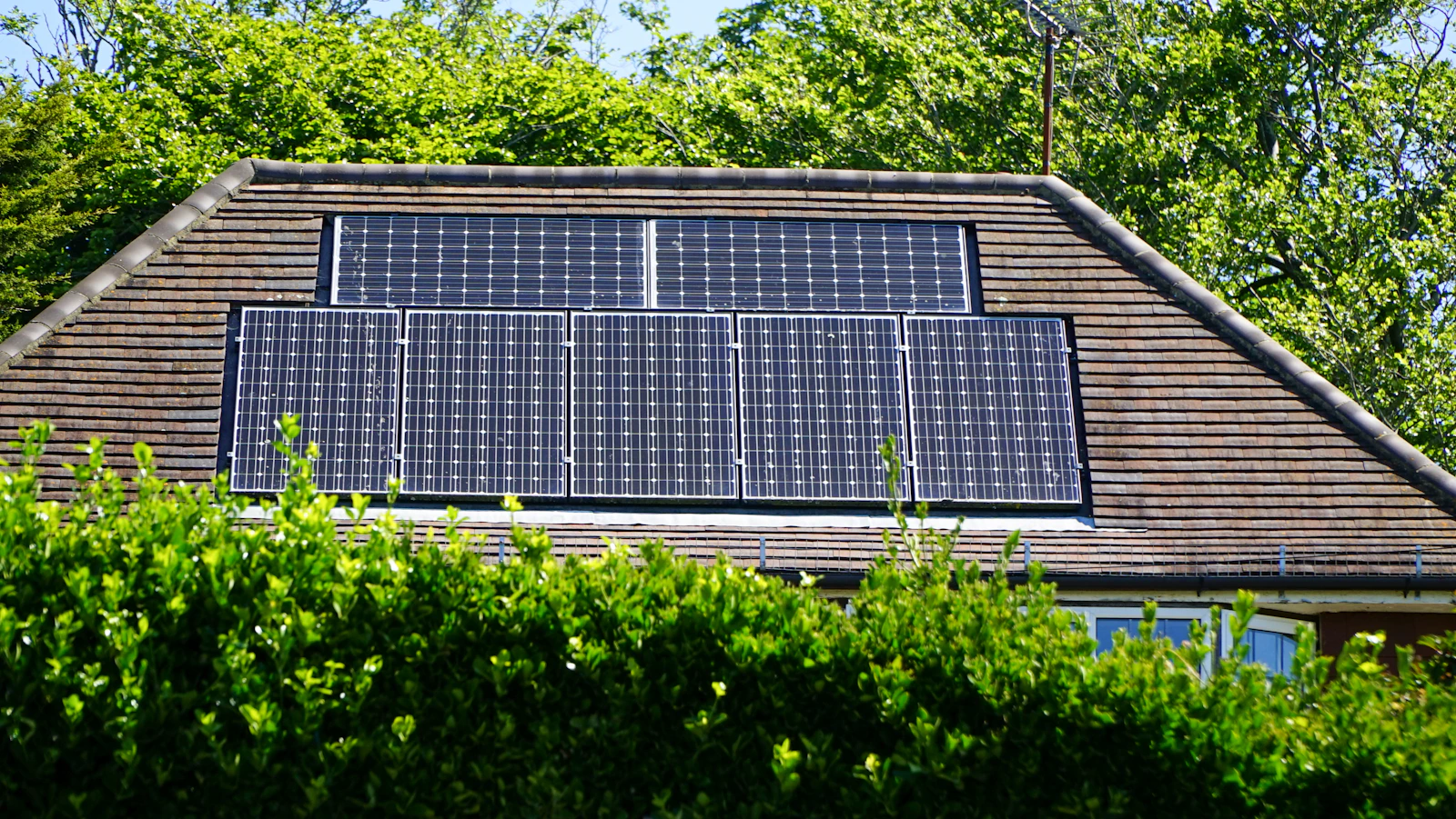 Solar panels installed on a residential roof surrounded by greenery