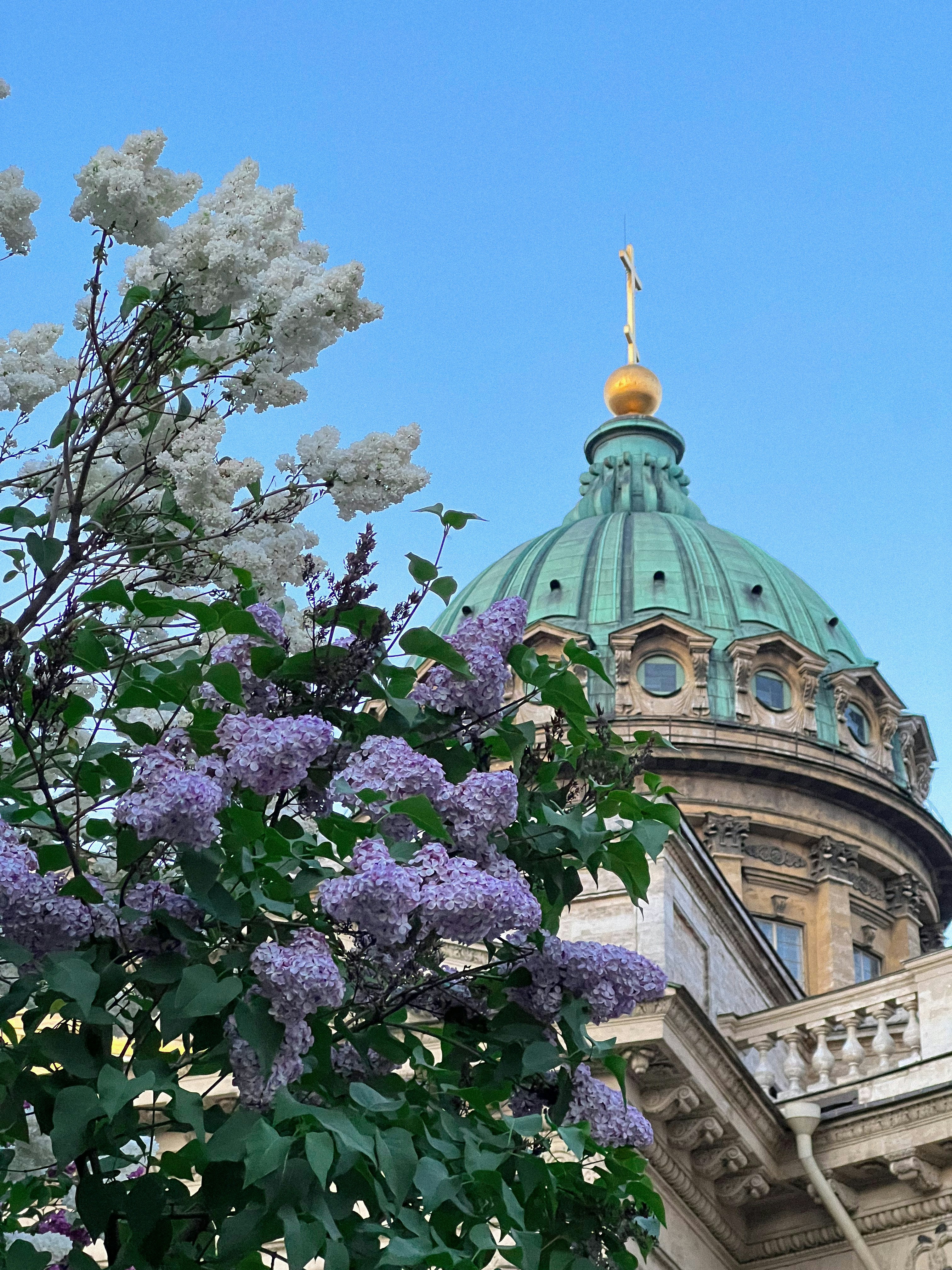 Photo by tomagainullina