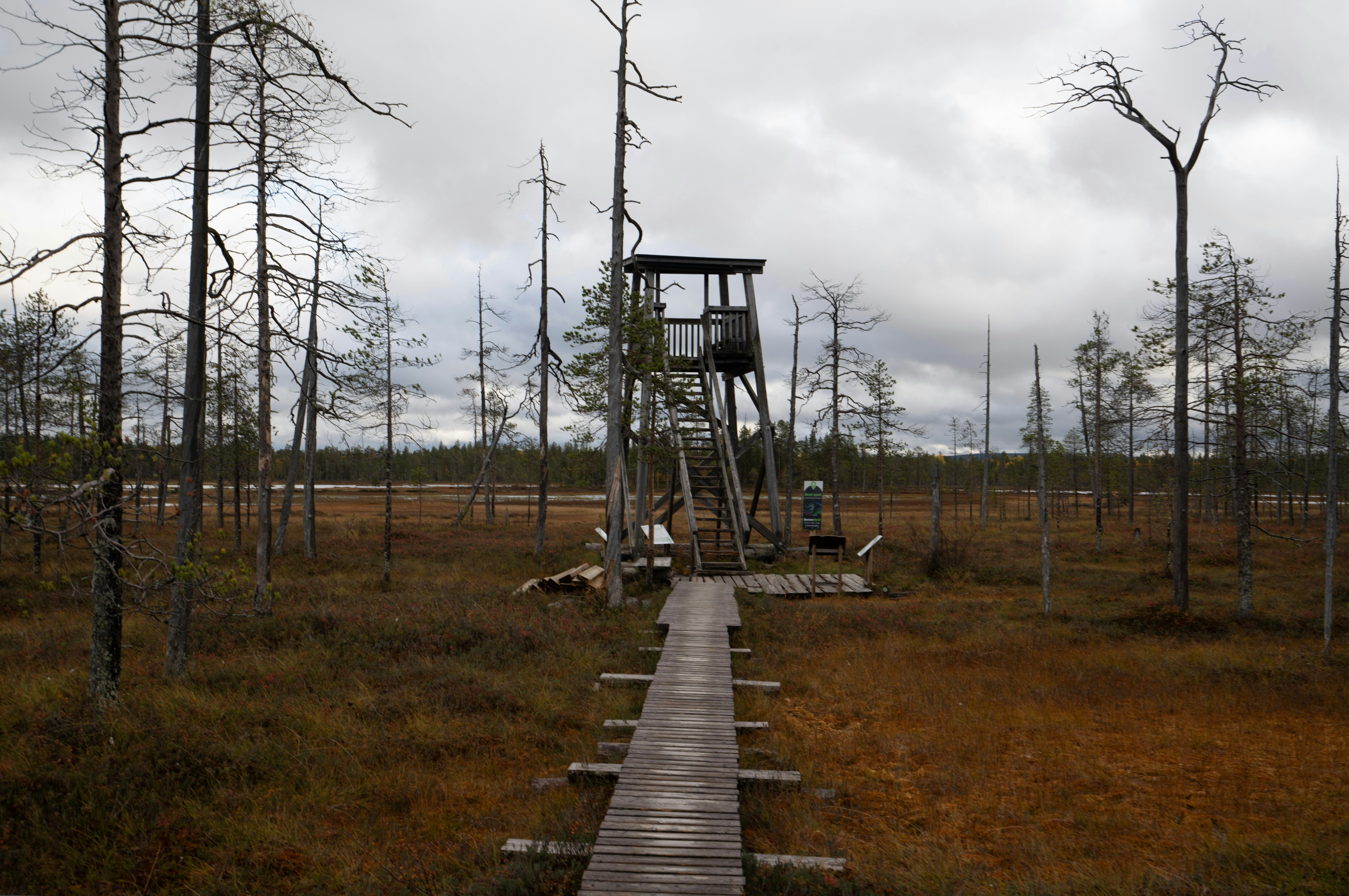 Photo by datingscout