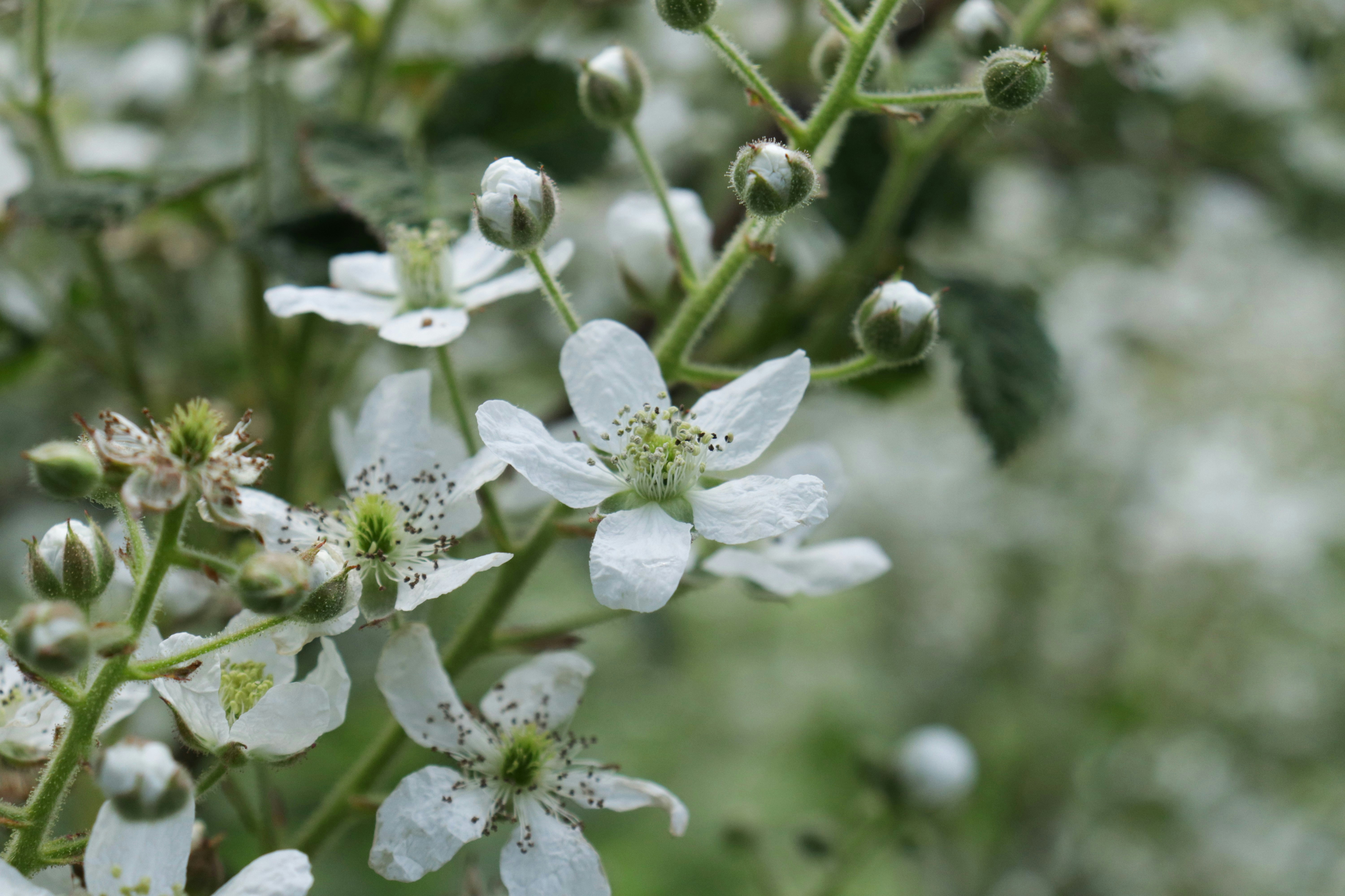 Photo by giulicanderle