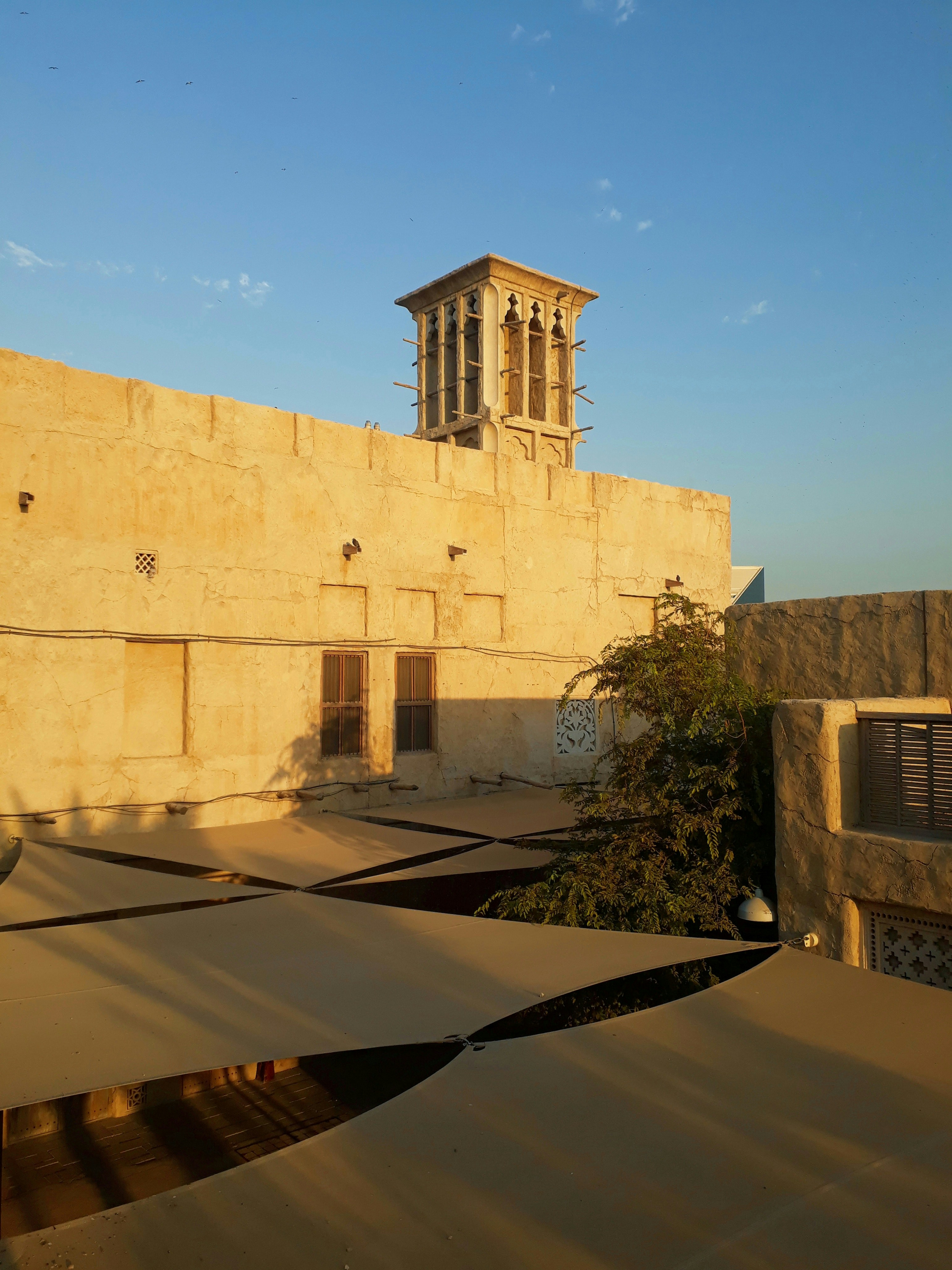 Photo by sahil_ibn_sarafudeen