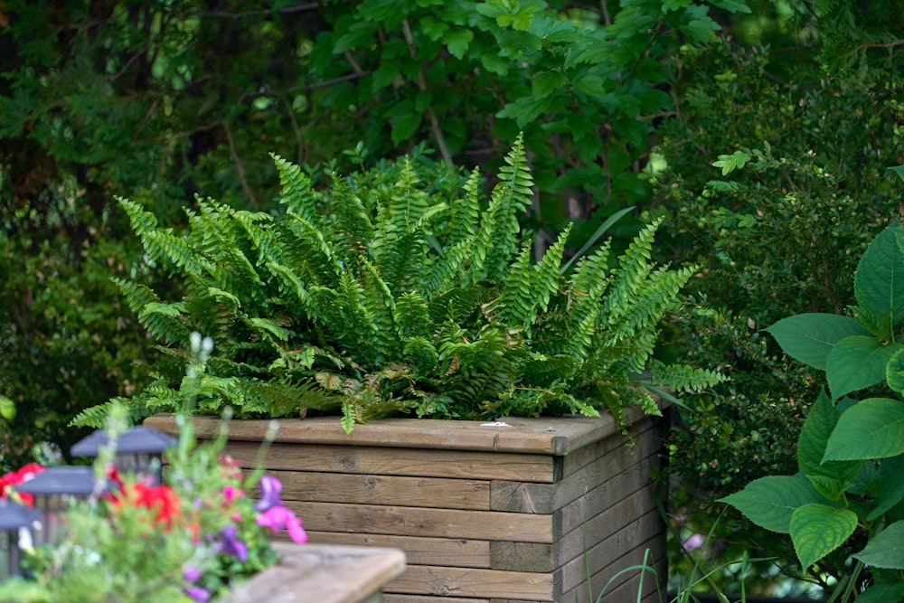 a wooden bench in a garden