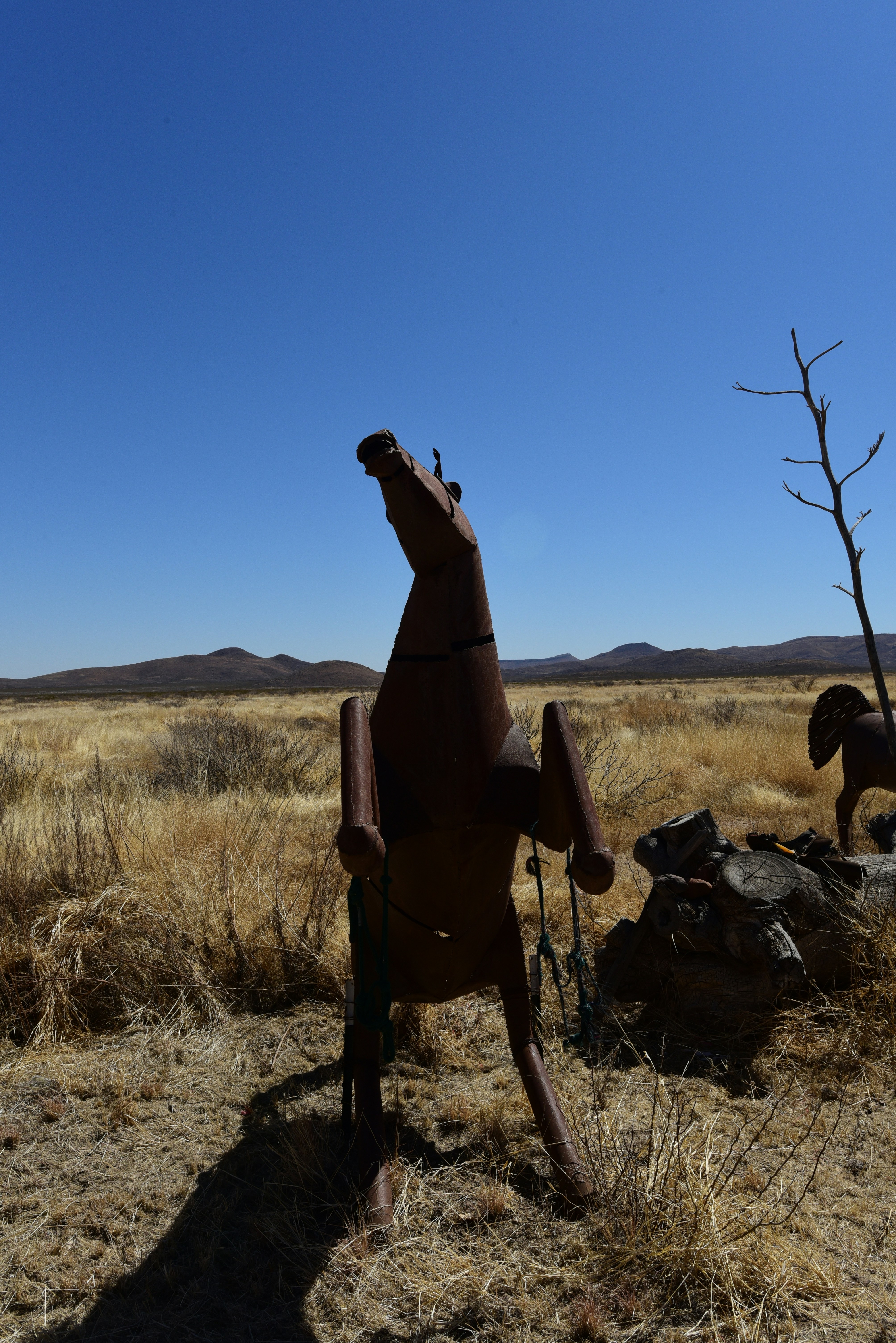une statue d’une personne dans un champ