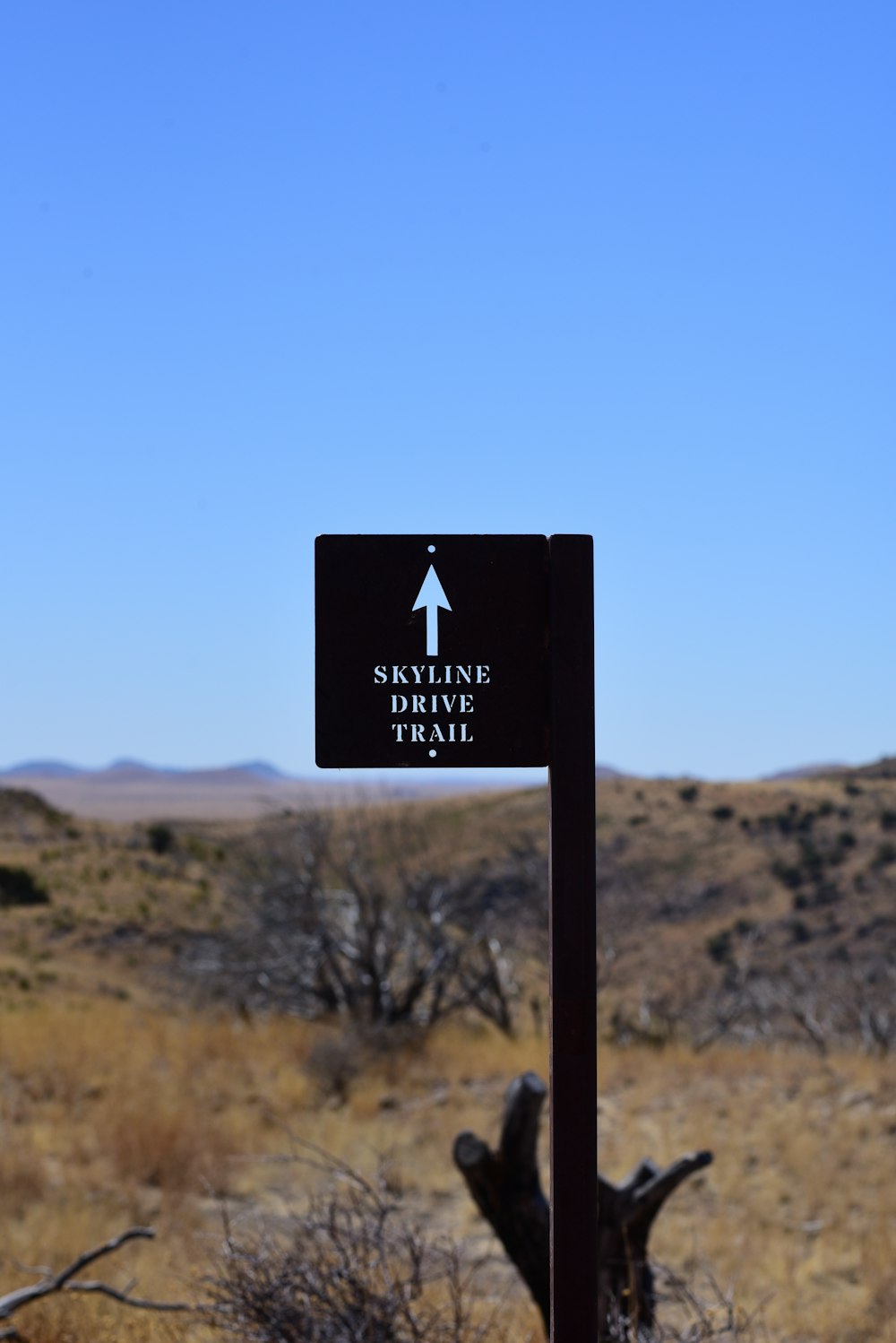 a sign in a desert