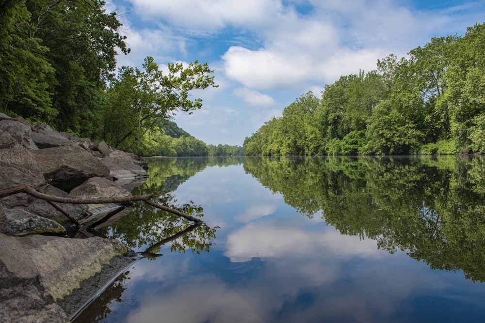 a body of water with trees around it