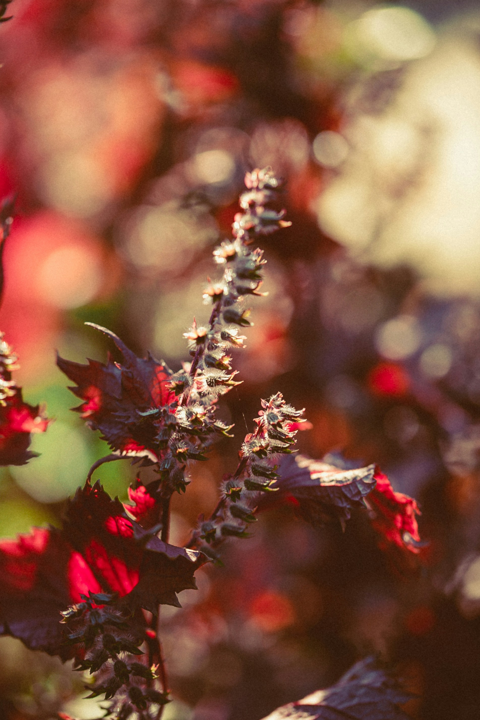 Photo by anna_safronova