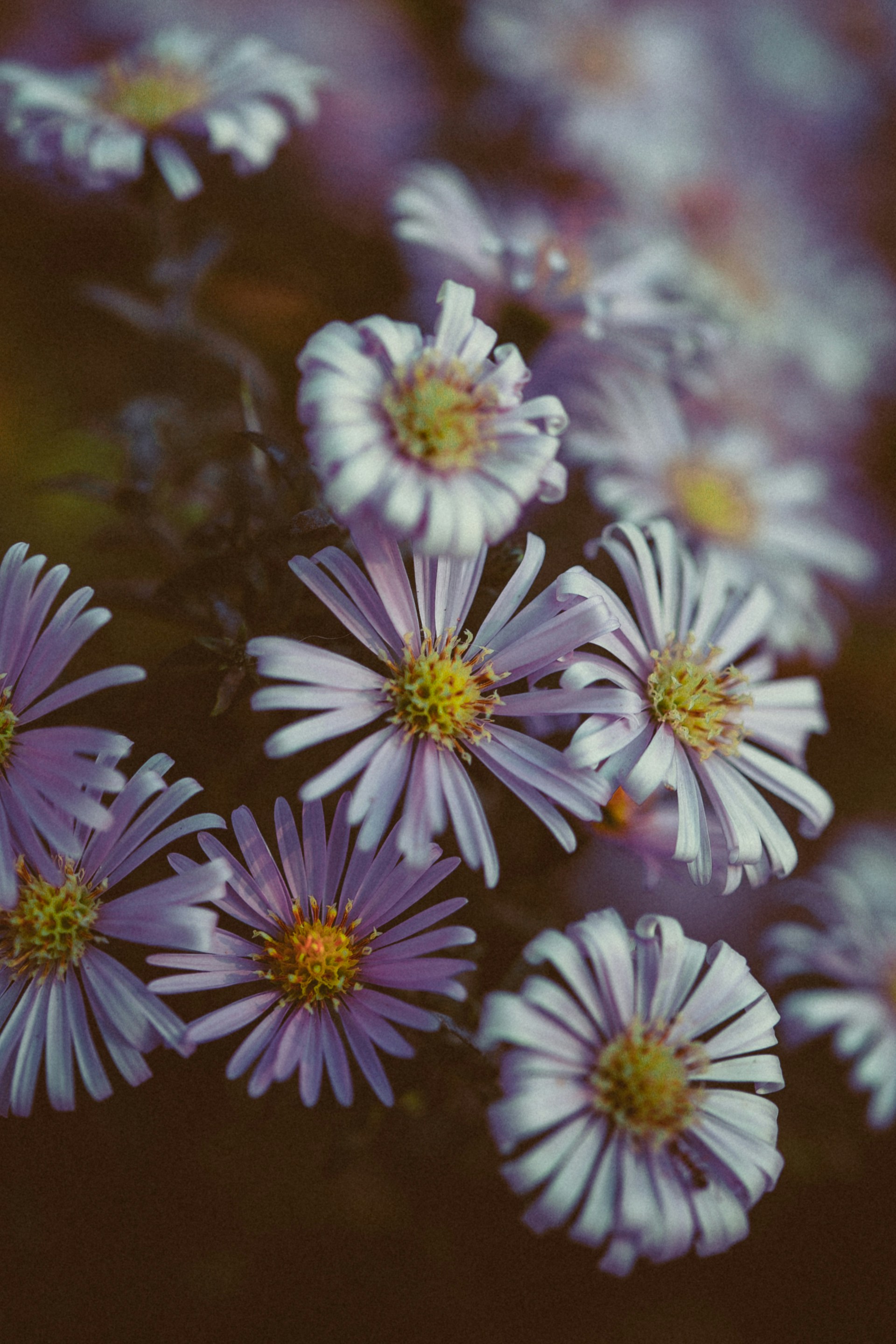 Photo by anna_safronova