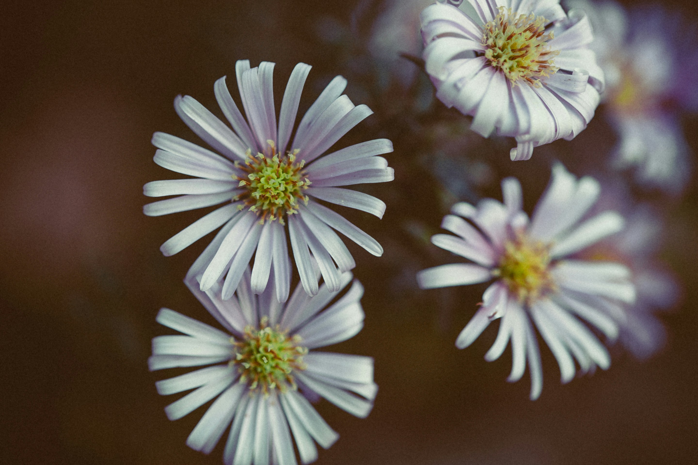 Photo by anna_safronova