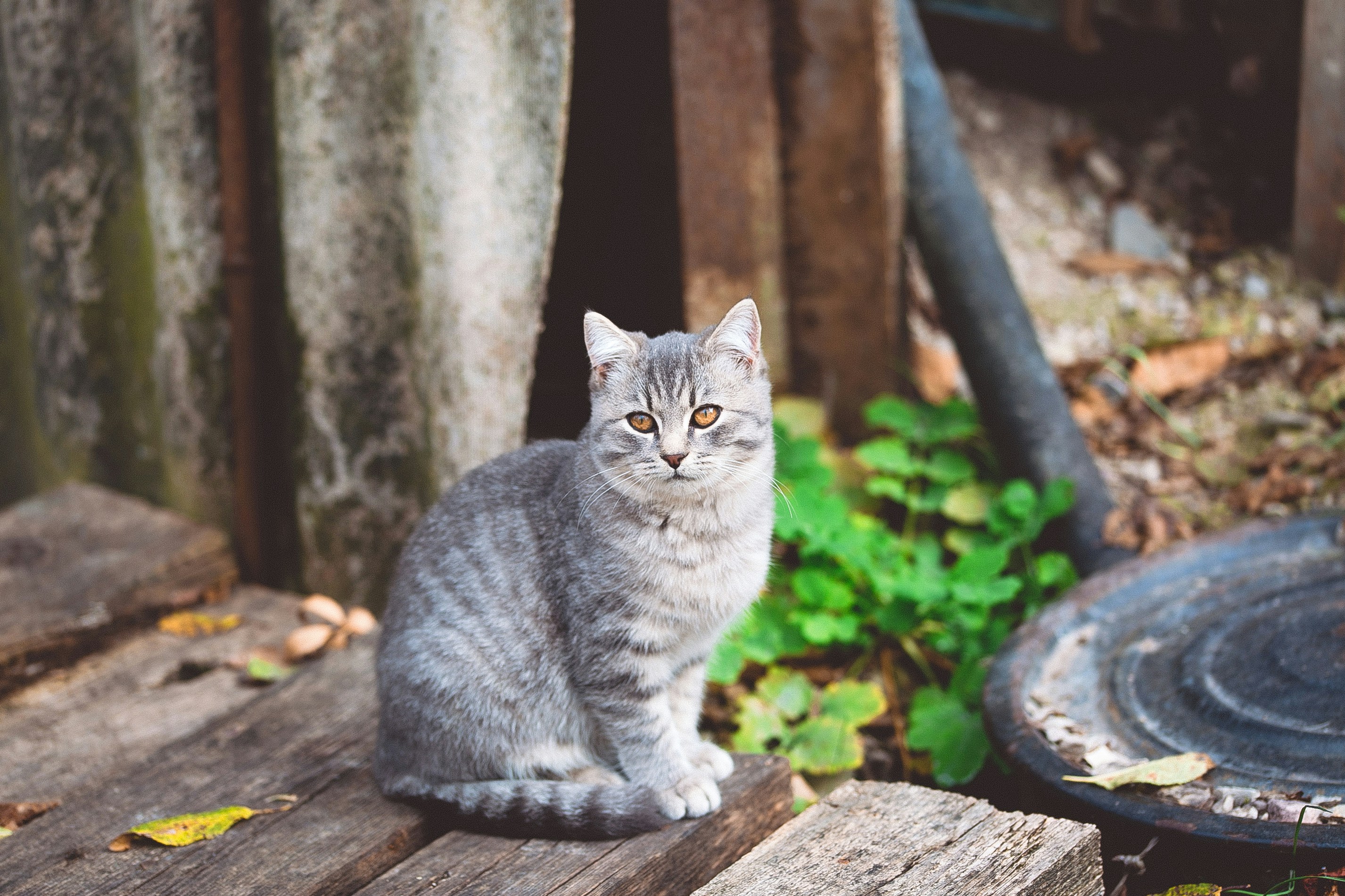 Photo by anna_safronova