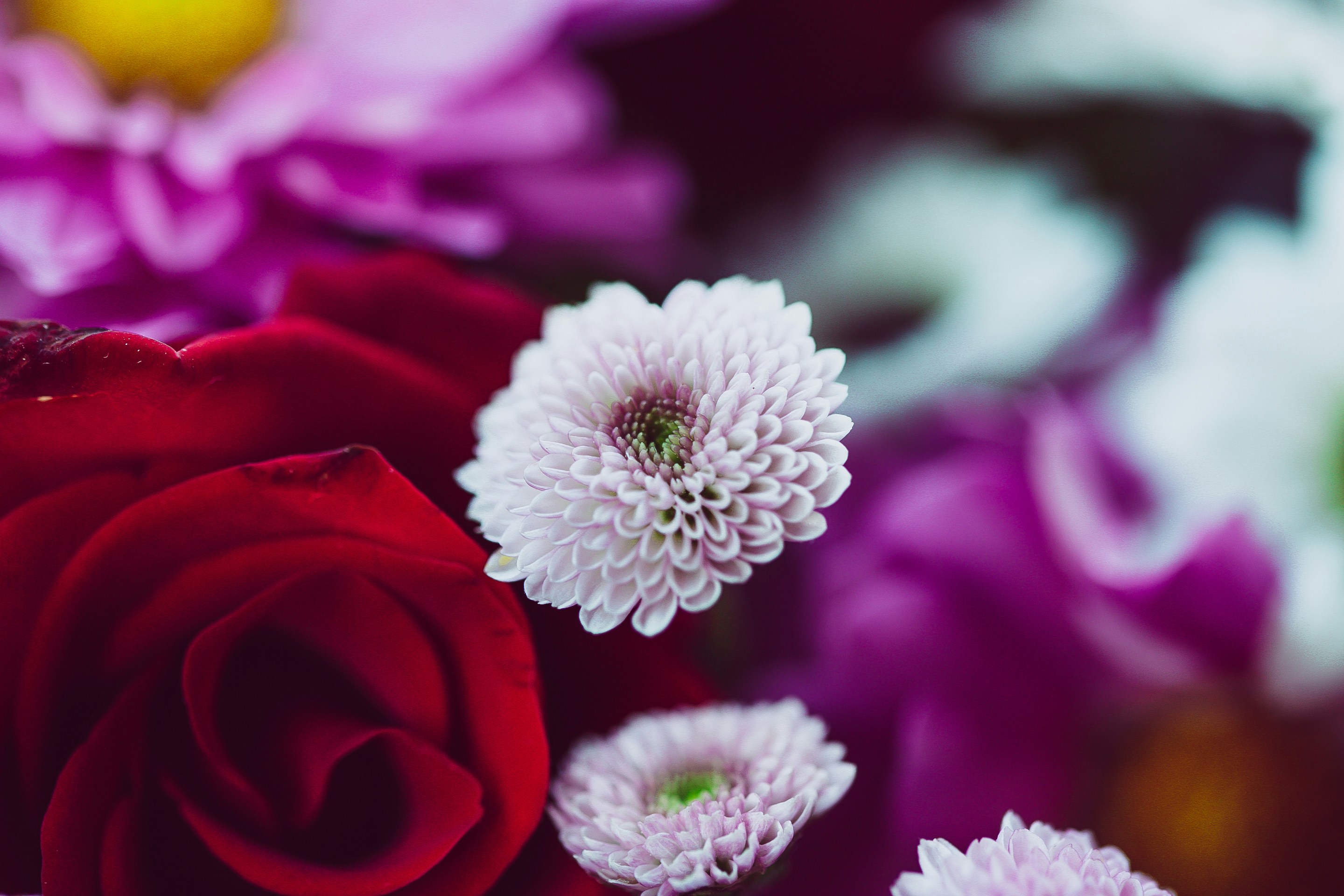 Photo by anna_safronova