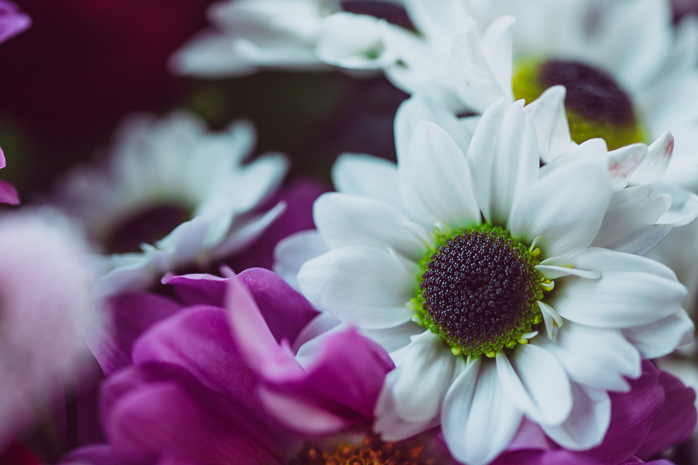 Photo by anna_safronova