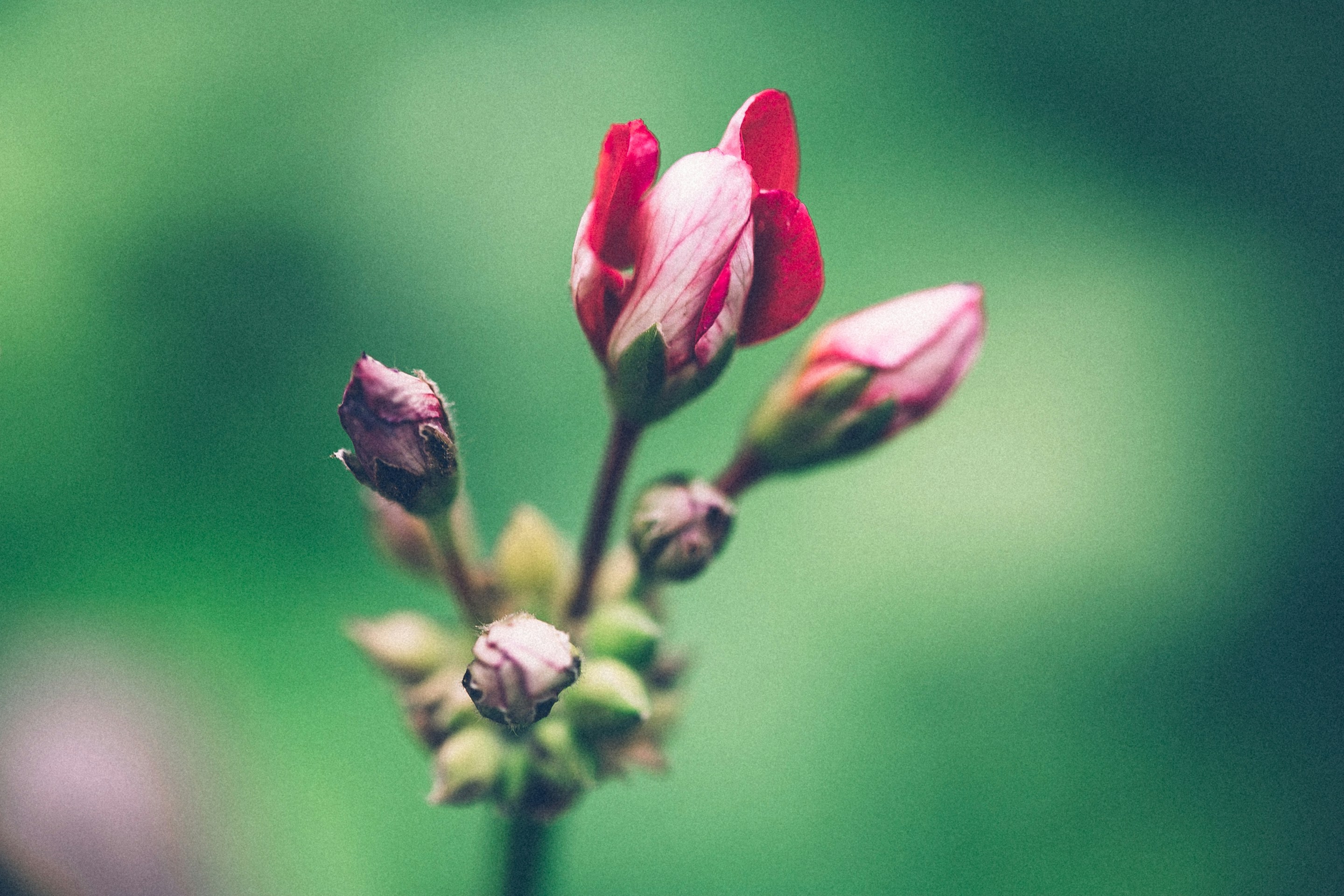 Photo by anna_safronova