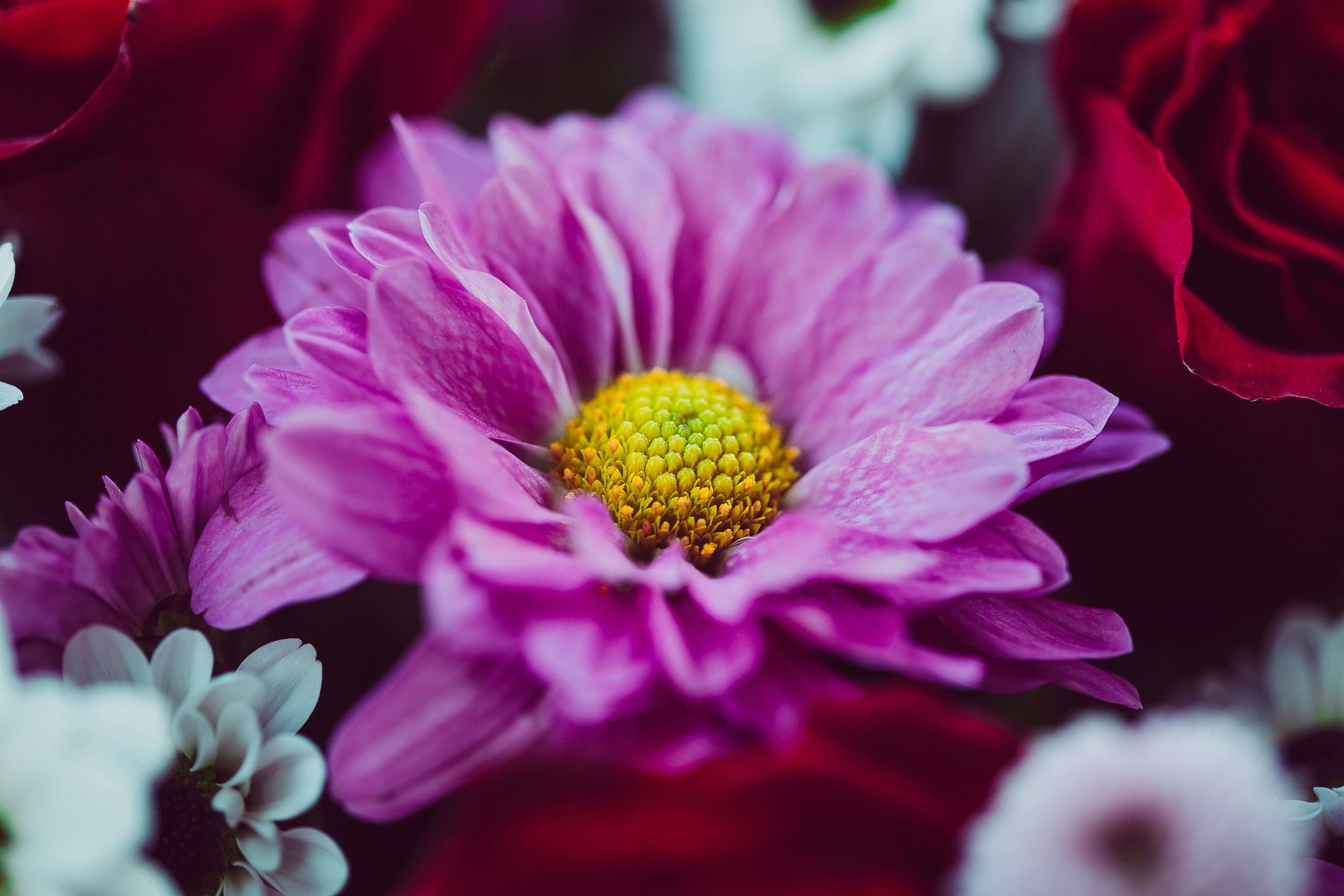 Photo by anna_safronova