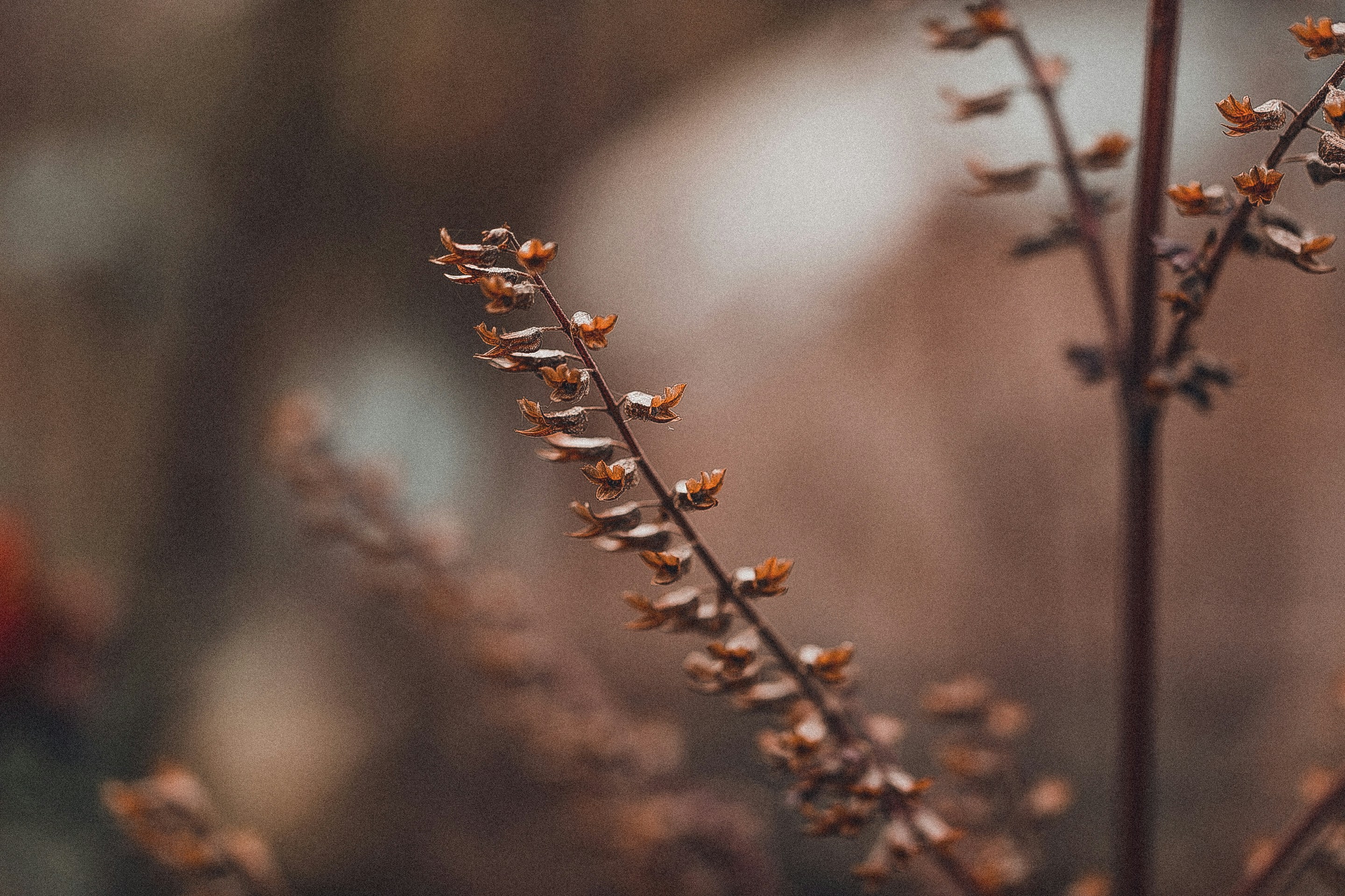 Photo by anna_safronova