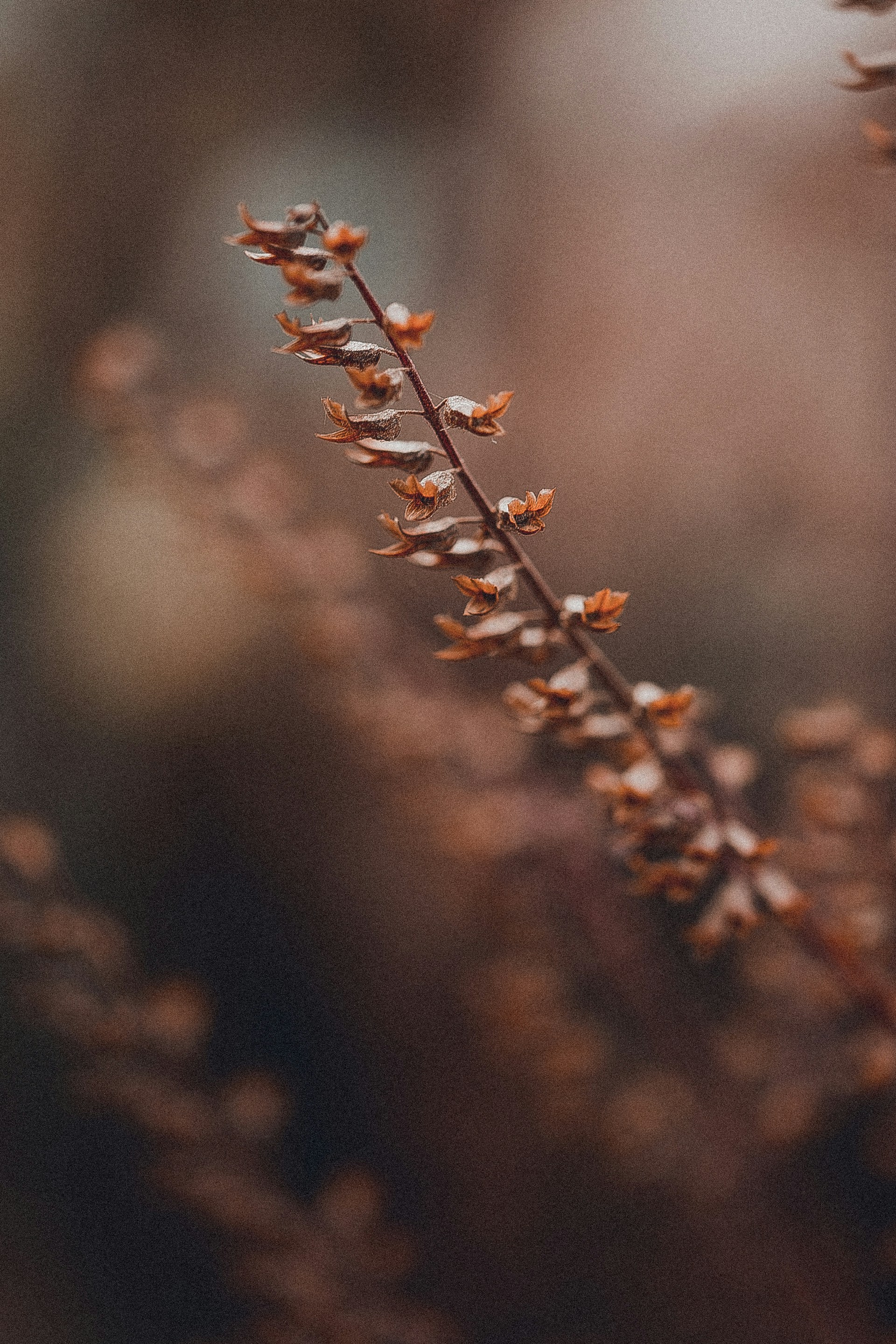 Photo by anna_safronova