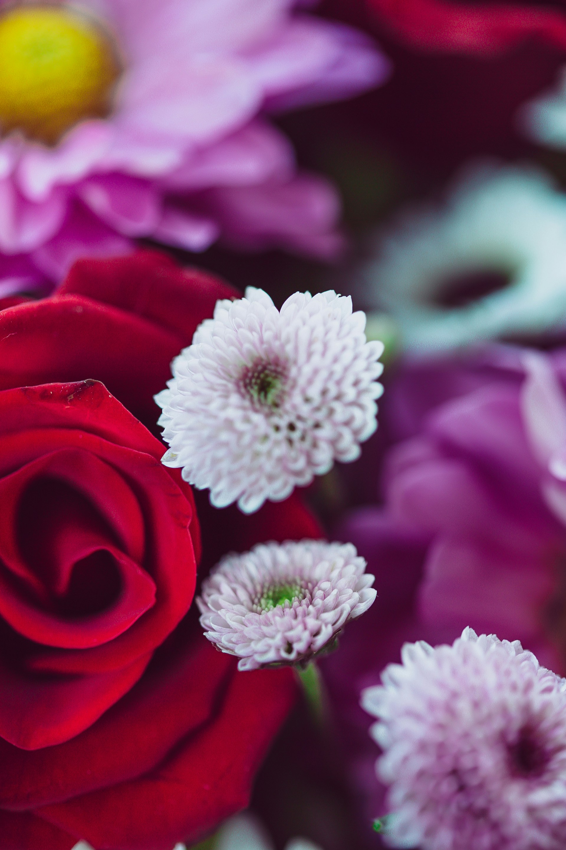 Photo by anna_safronova