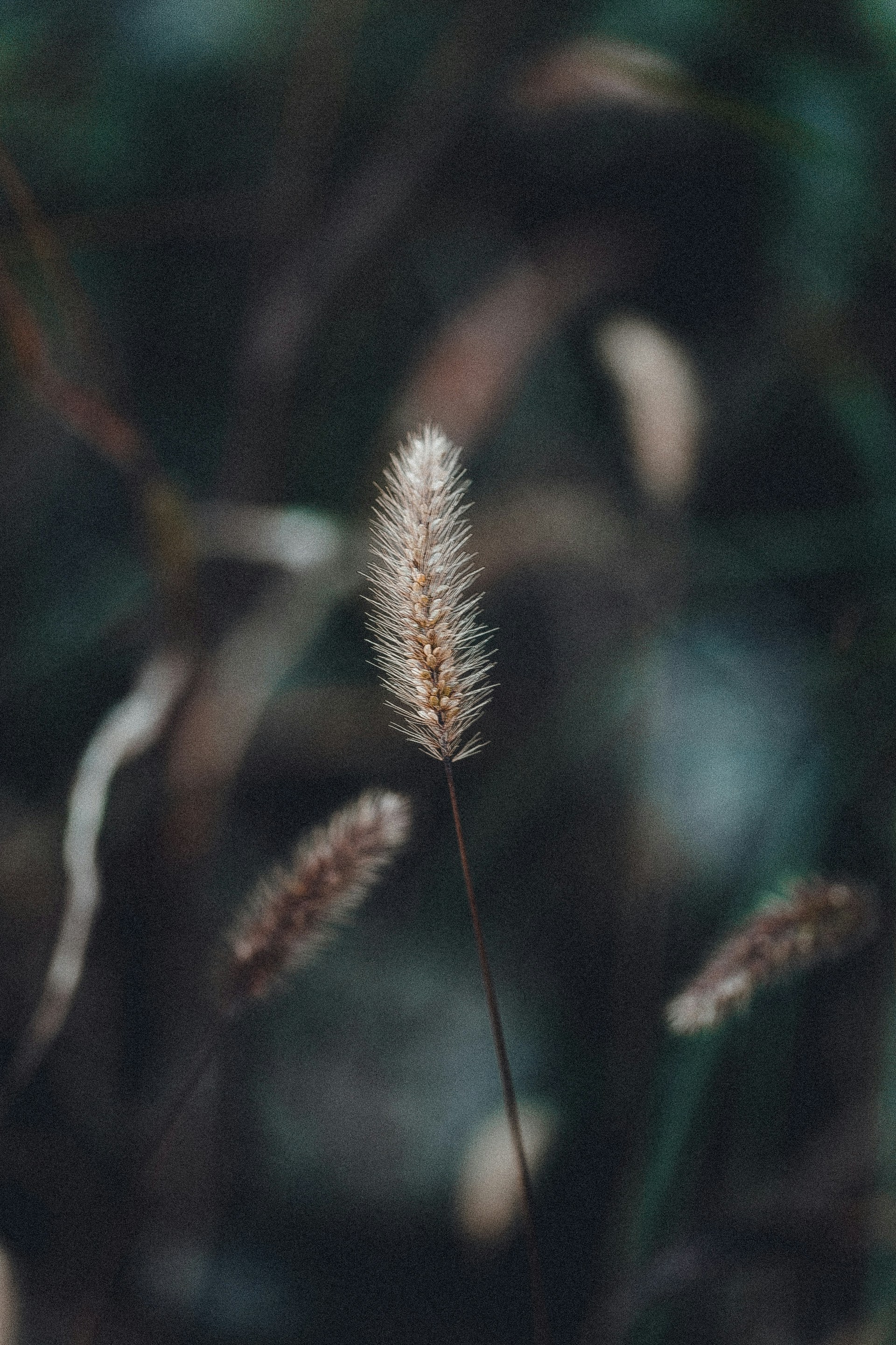 Photo by anna_safronova