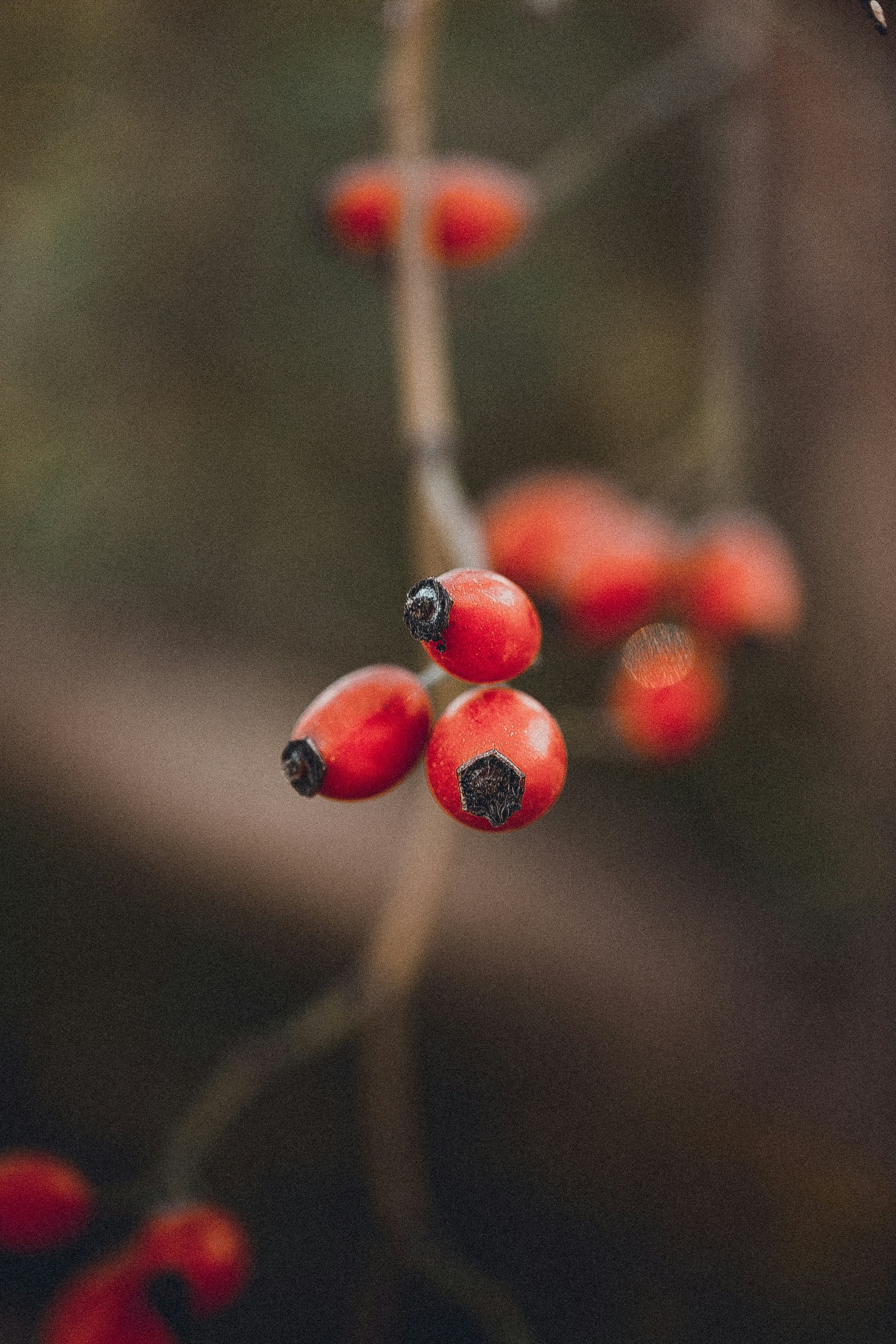 Photo by anna_safronova