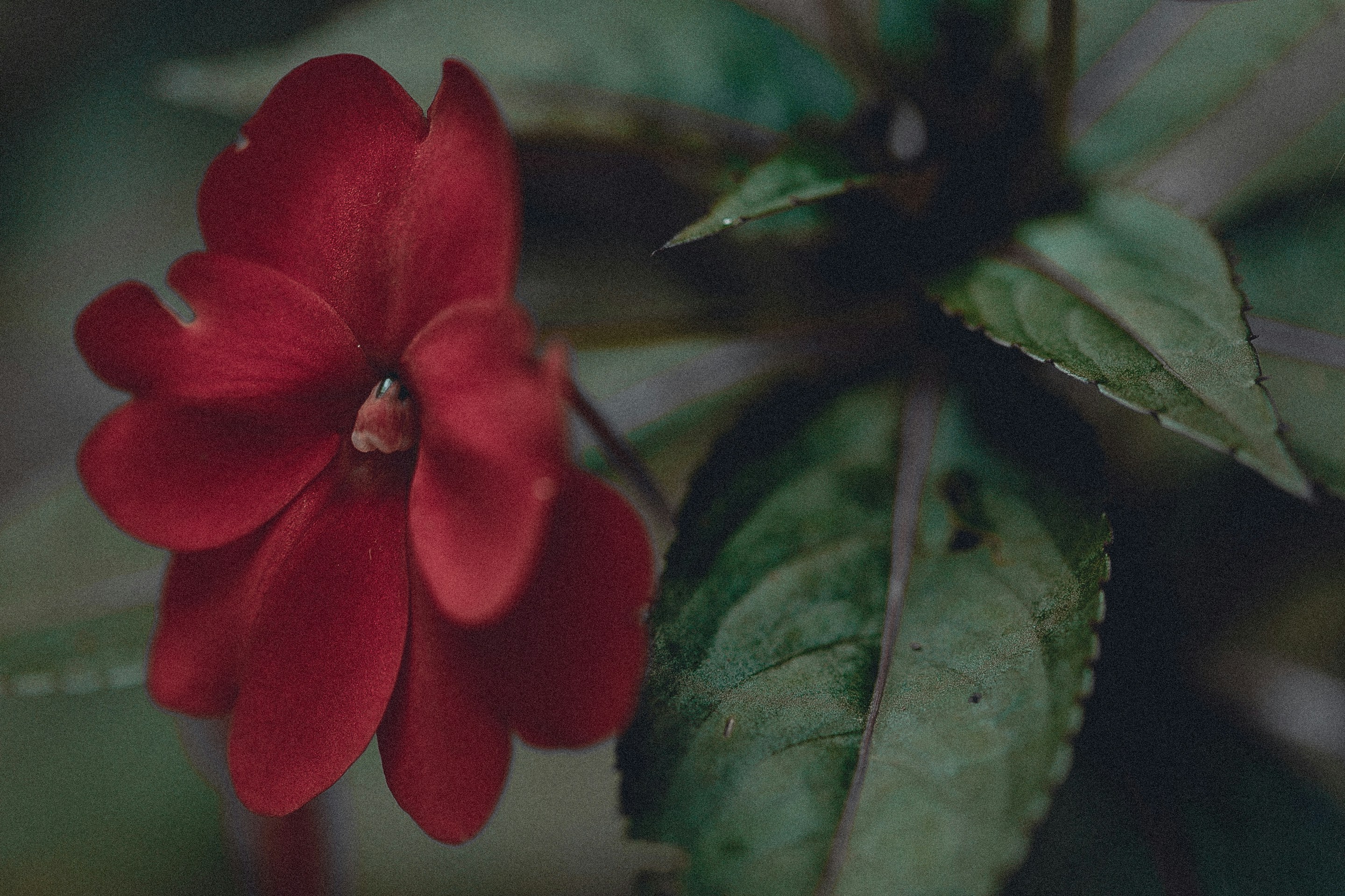 Photo by anna_safronova