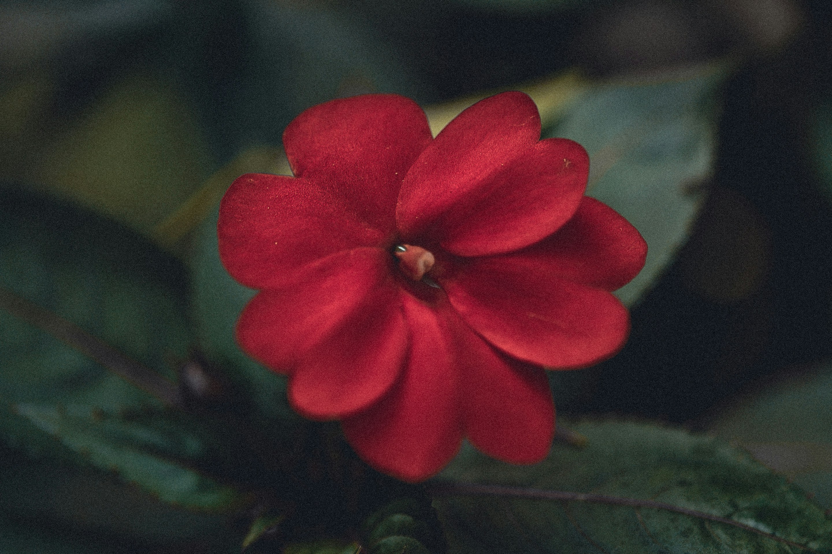 Photo by anna_safronova