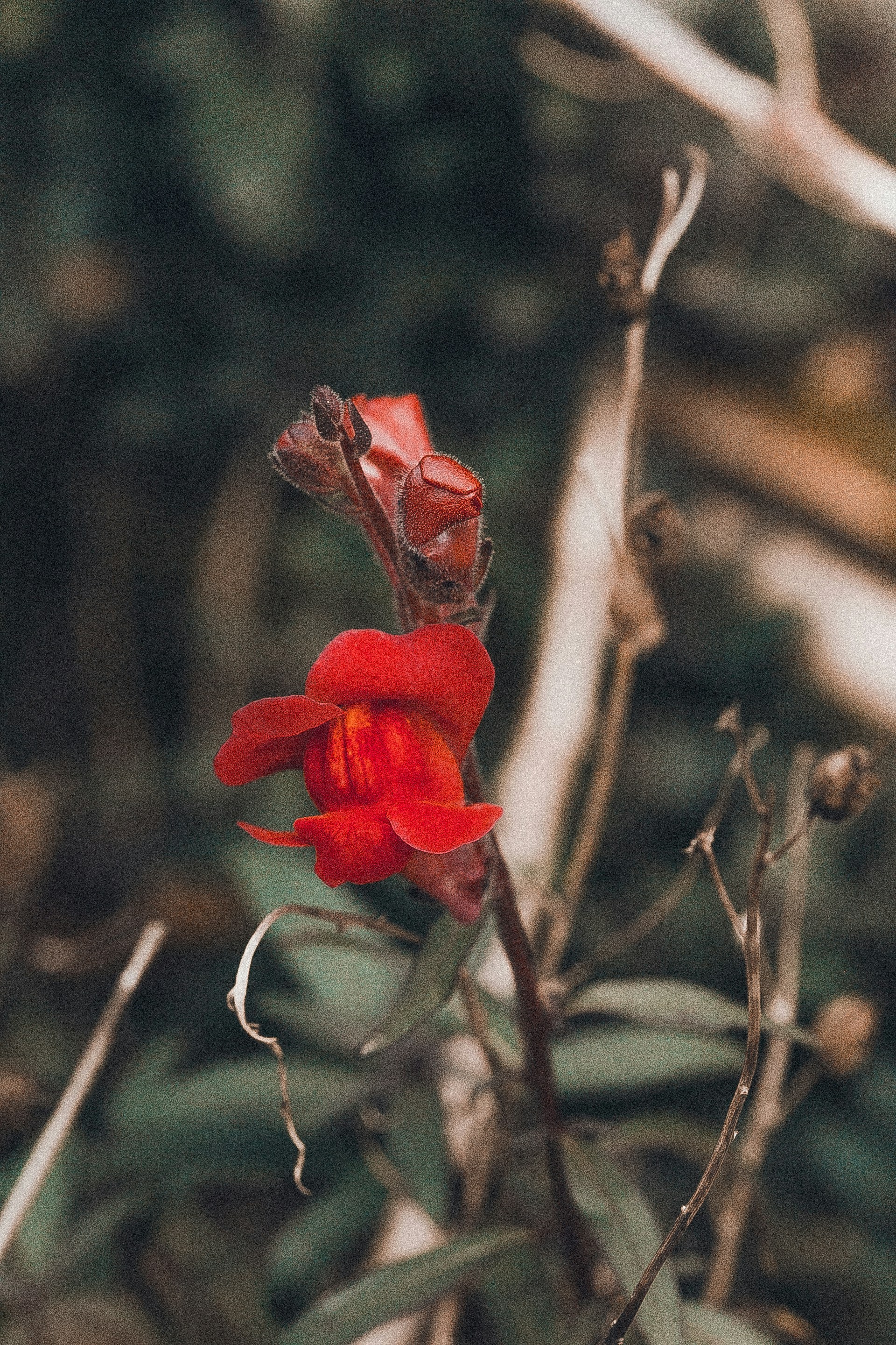 Photo by anna_safronova