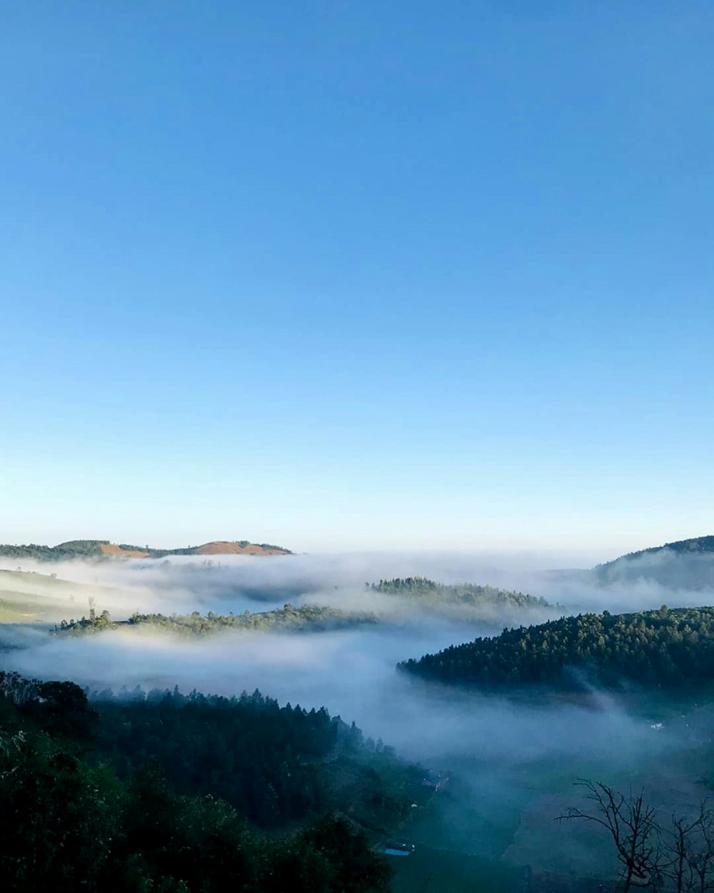 a view of a foggy valley