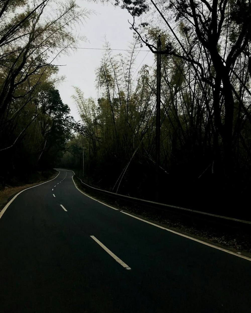 a road with trees on the side