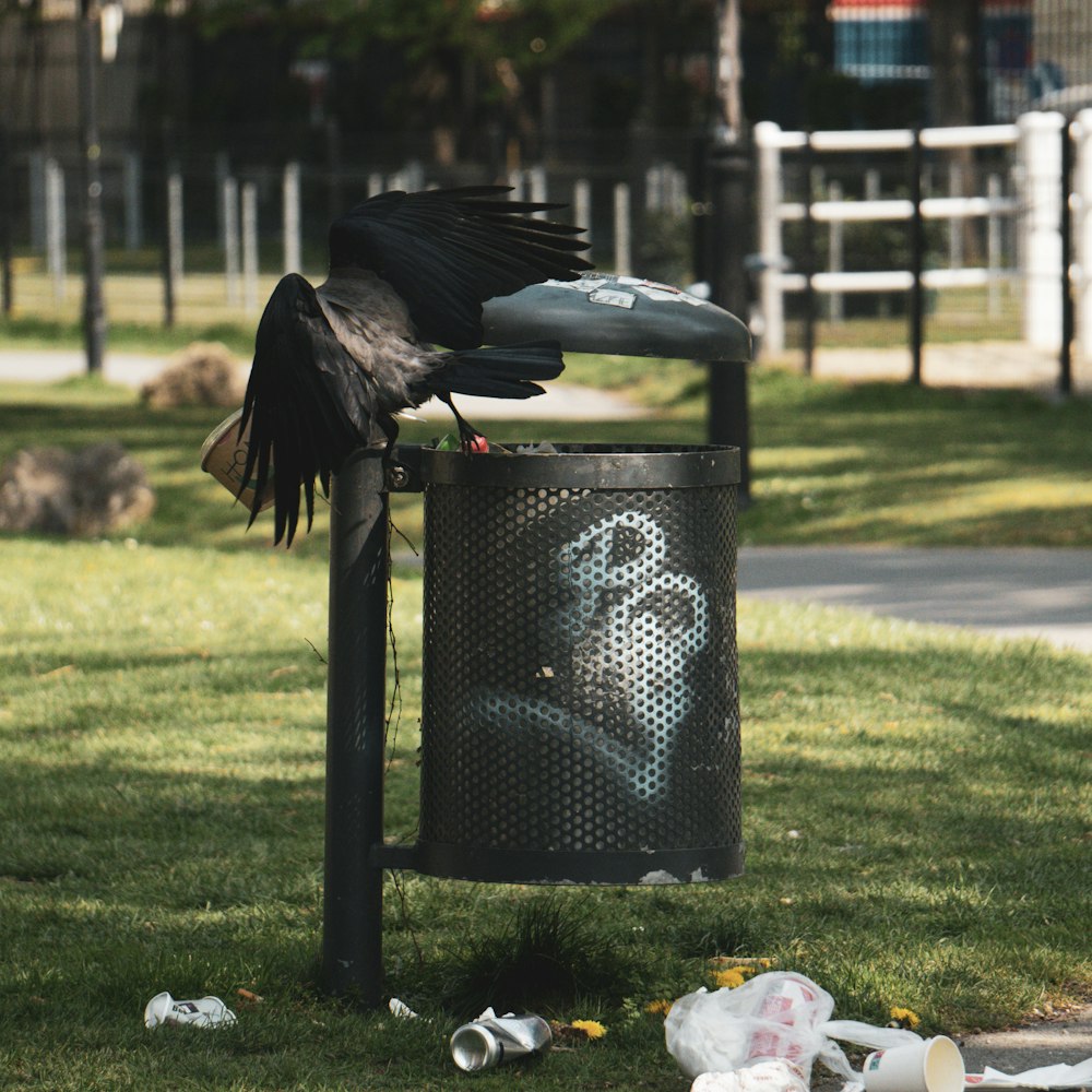 a black garbage can with a black bird on top