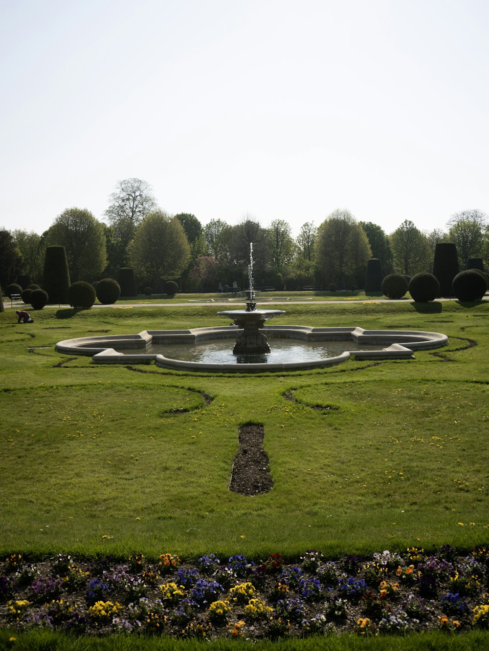 un grand champ herbeux avec une fontaine