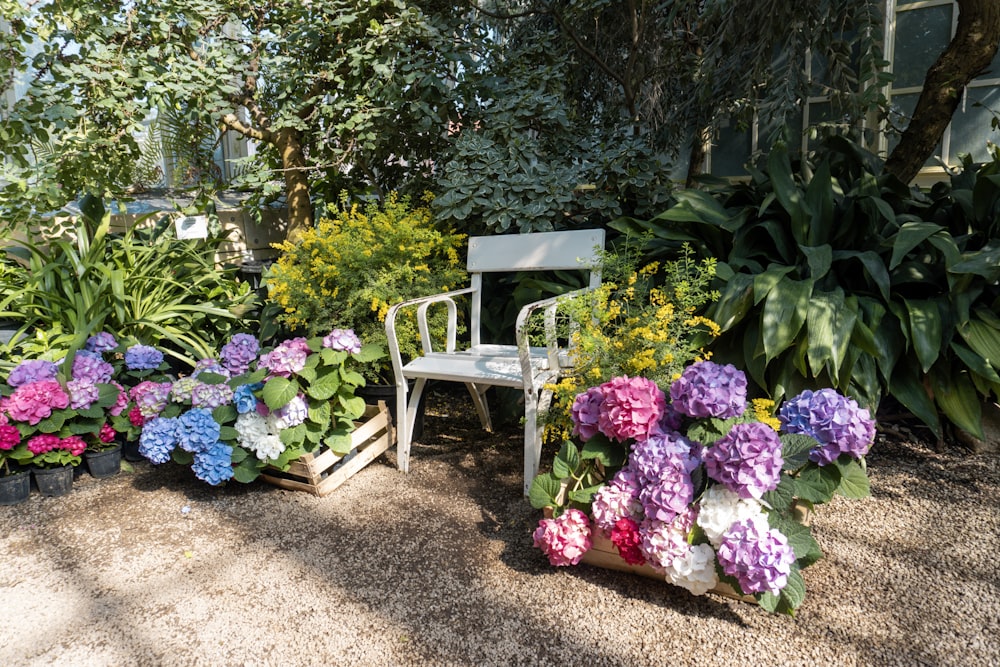 Una silla en un jardín