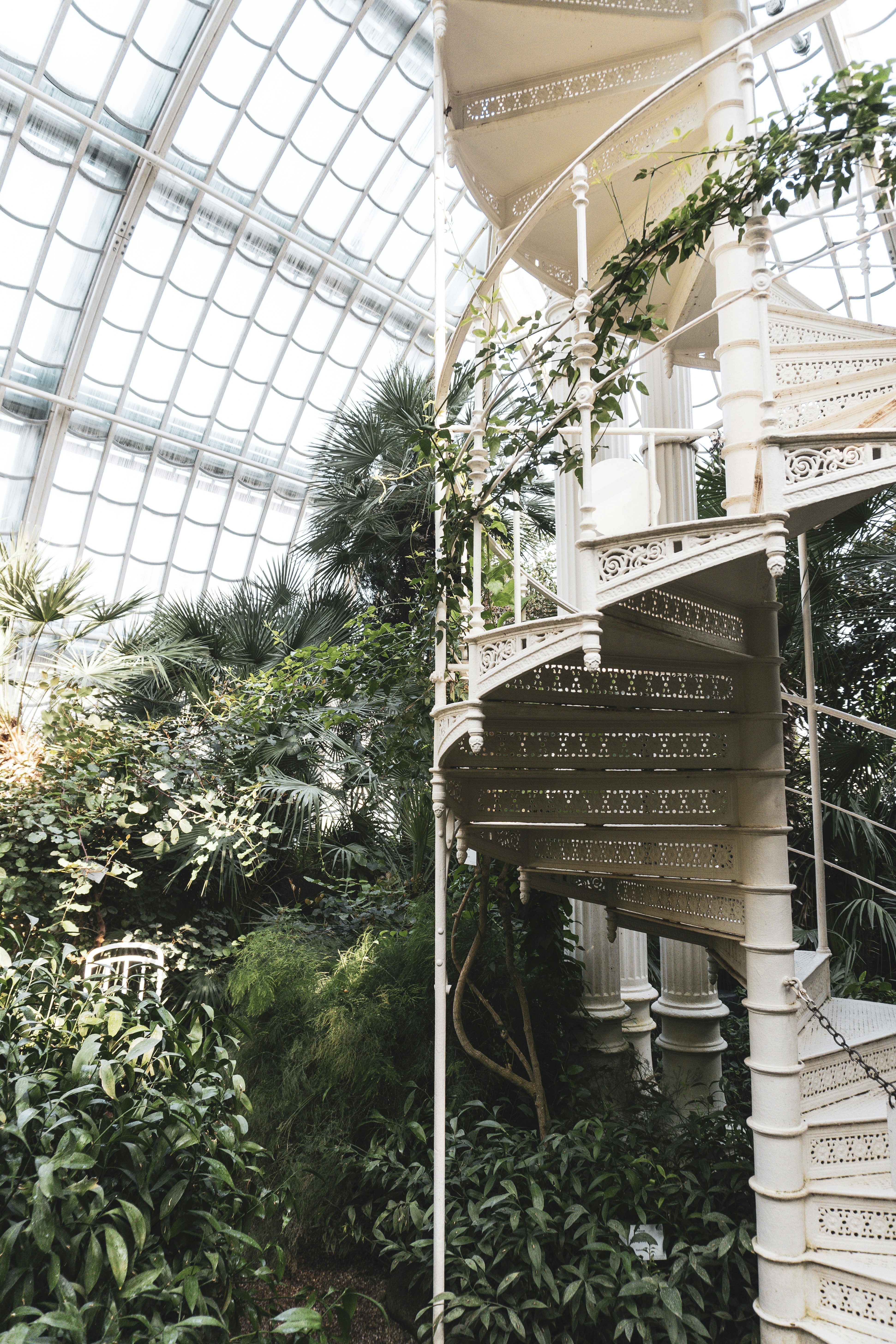 Schonbrunn Palace photo 3