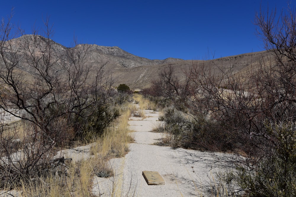 a dirt road in the mountains